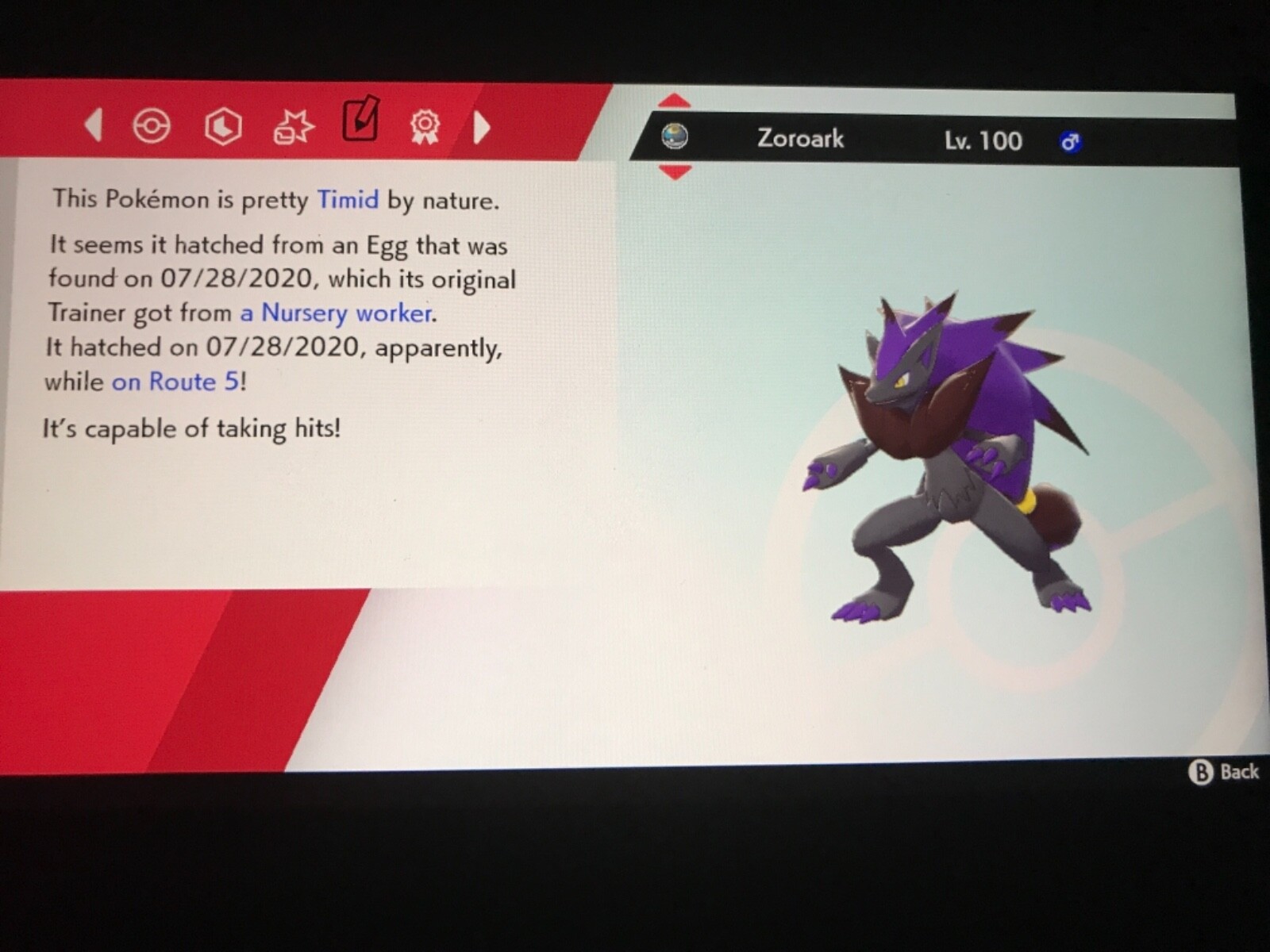 Pokemon Sword And Shield Shiny Zoroark and Volcarona Bundle 6IV Battle Ready