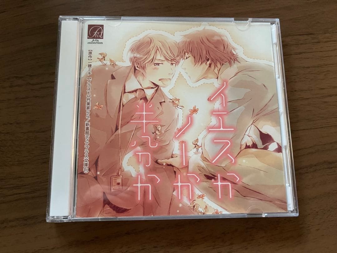 Yes or No or Half? Drama CD Michi Ichiho BL 3.5 in model