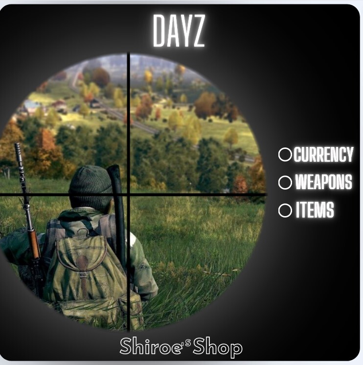 DayZ [PC] ⭐Currency and Items [Read description]