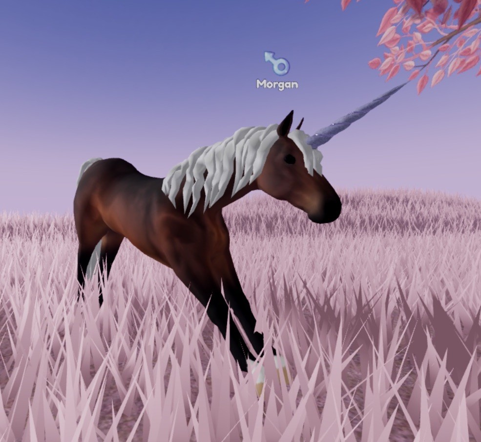Wild Horse Islands 🌸 New Sandy purple Horn Morgan 🌸