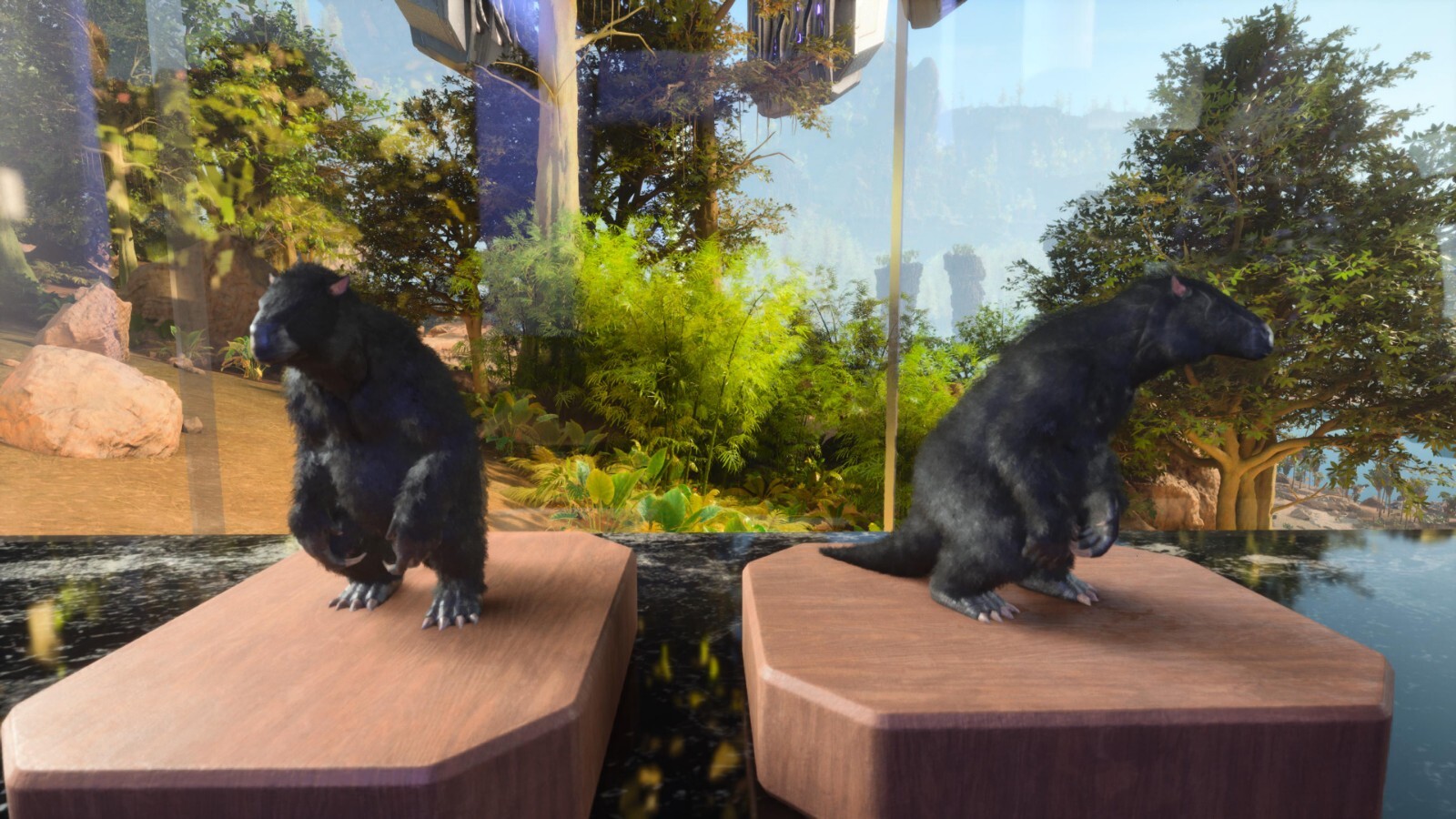 ARK ASCENDED PVE OFFICIAL PAIR BABY MEGATHERIO BLACK #79 HIGH STATUS PC/XBOX/PS5