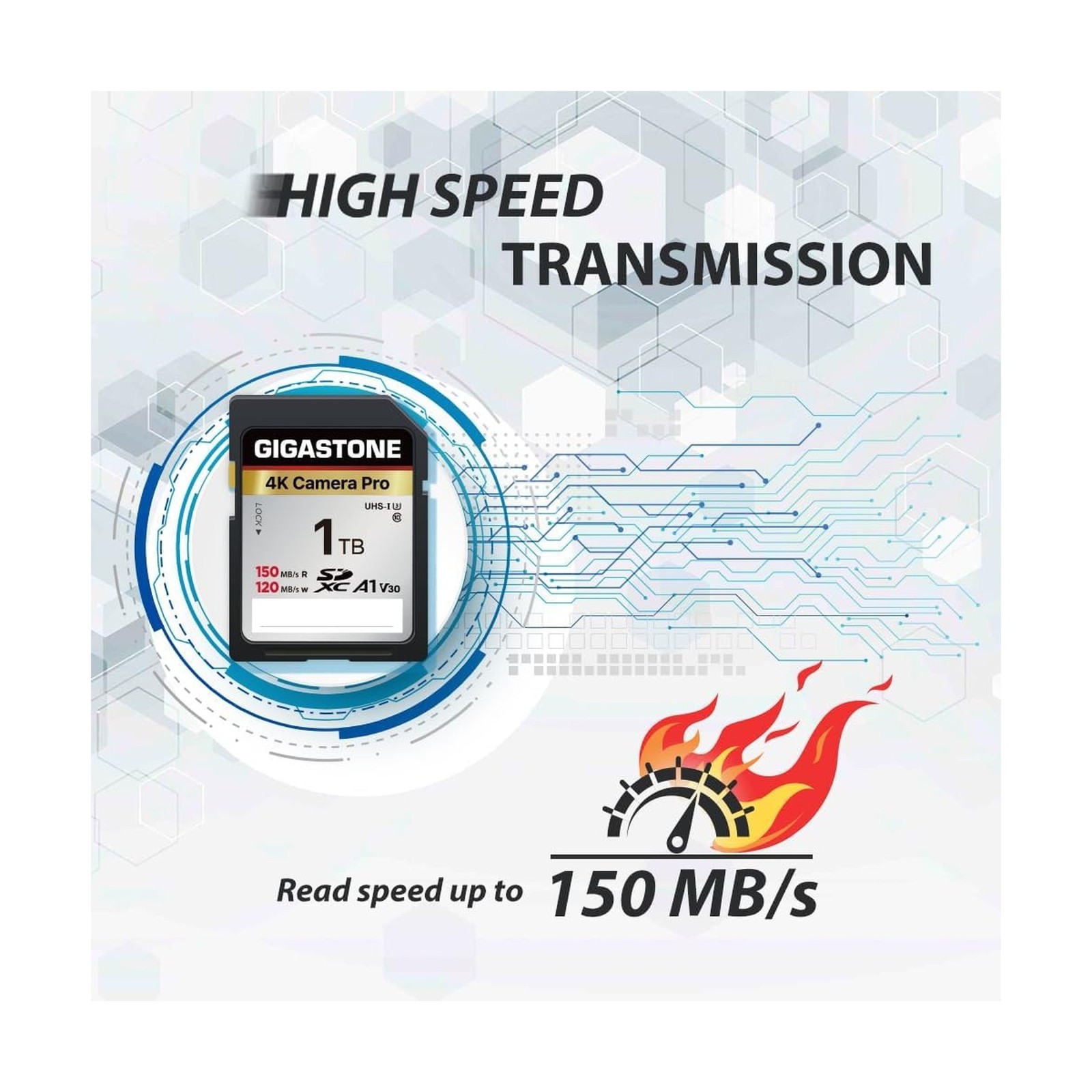 【5-Years Data Recovery】 GIGASTONE 1TB SD Card with USB Type C Card