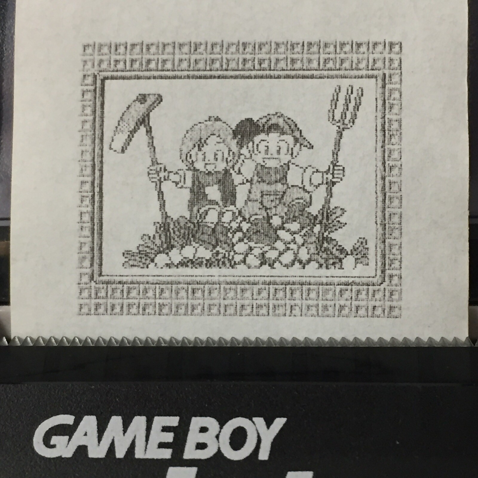 Harvest Moon 2 (GBC) ALL Photos – Game boy Printer Print-outs (64)
