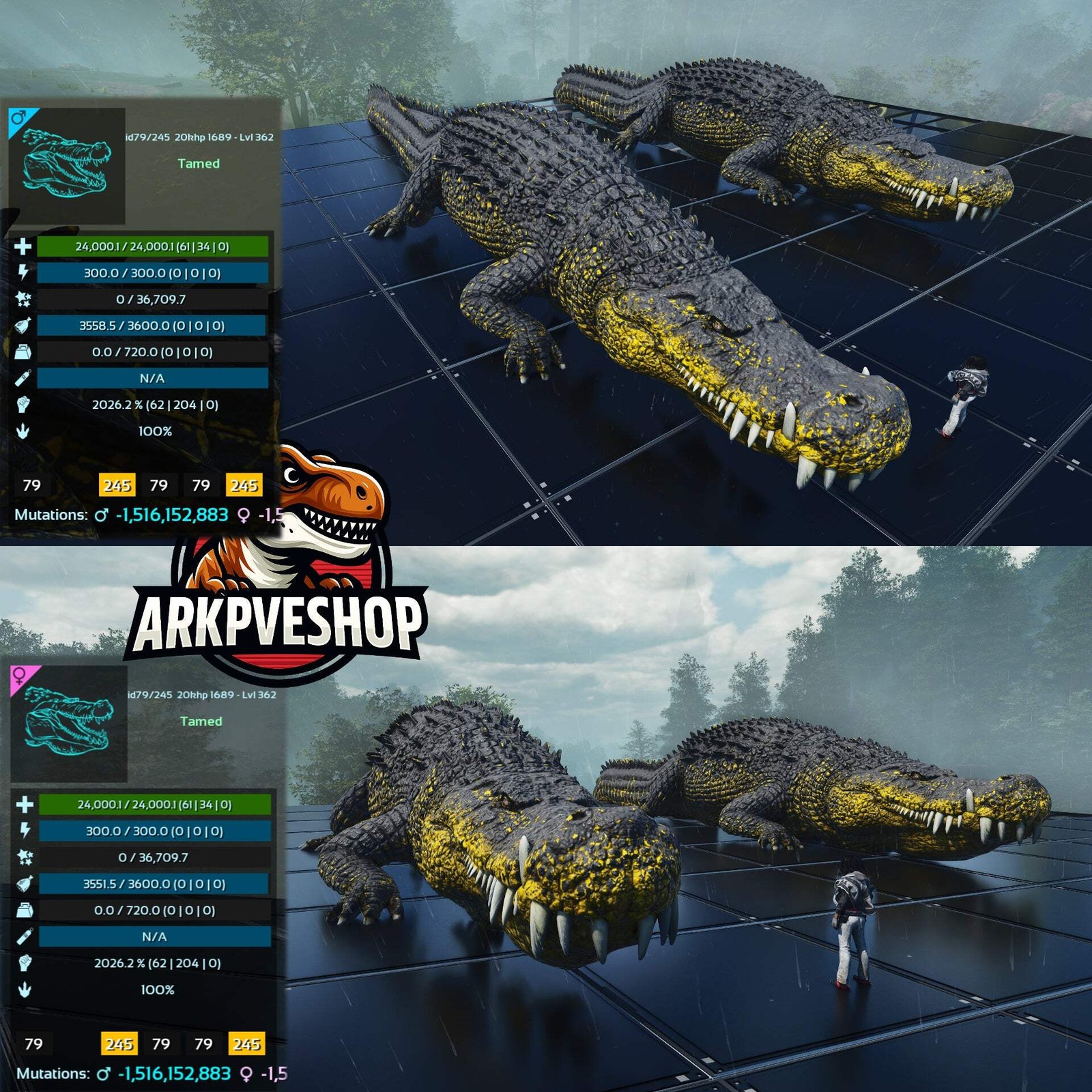 ASA PVE 🦖ARK Survival Ascended Deinosuchus Deino 2026m or 2428m Red Variant