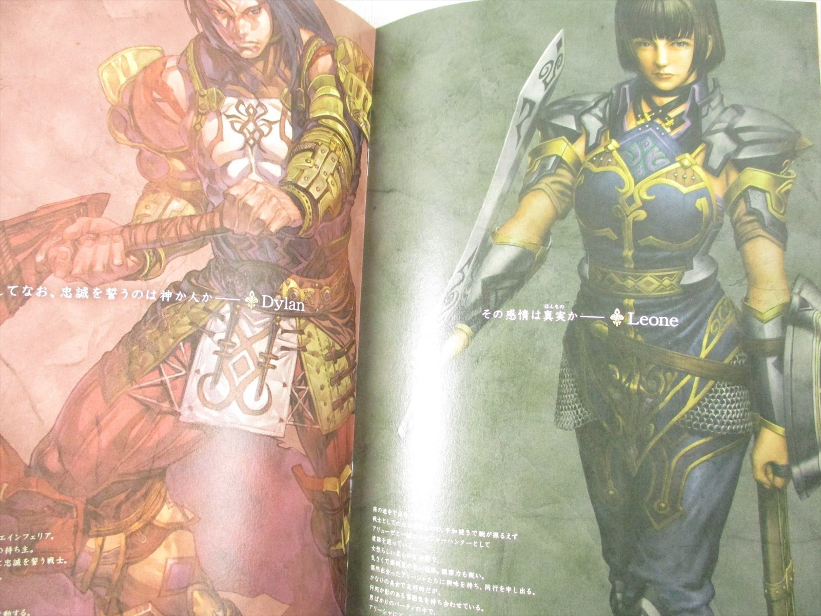 VALKYRIE PROFILE Lenneth Visual Profile Art Book Set 1 & 2 Works PS2 Ltd Booklet