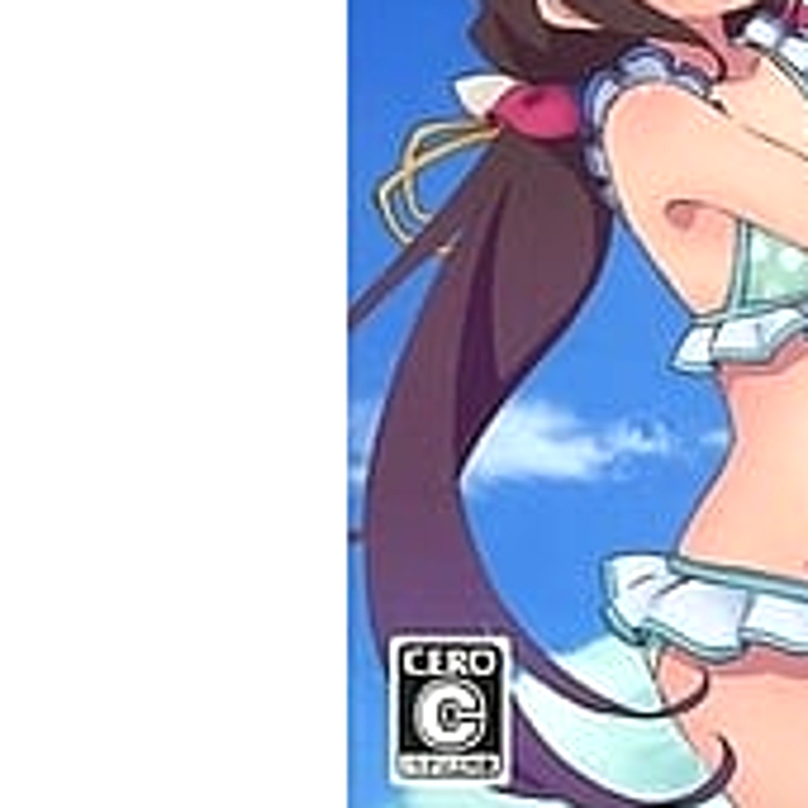 The Ryuo’s Work is Never Done! Limited Edition Switch NTSC-J CIB Digital Manual