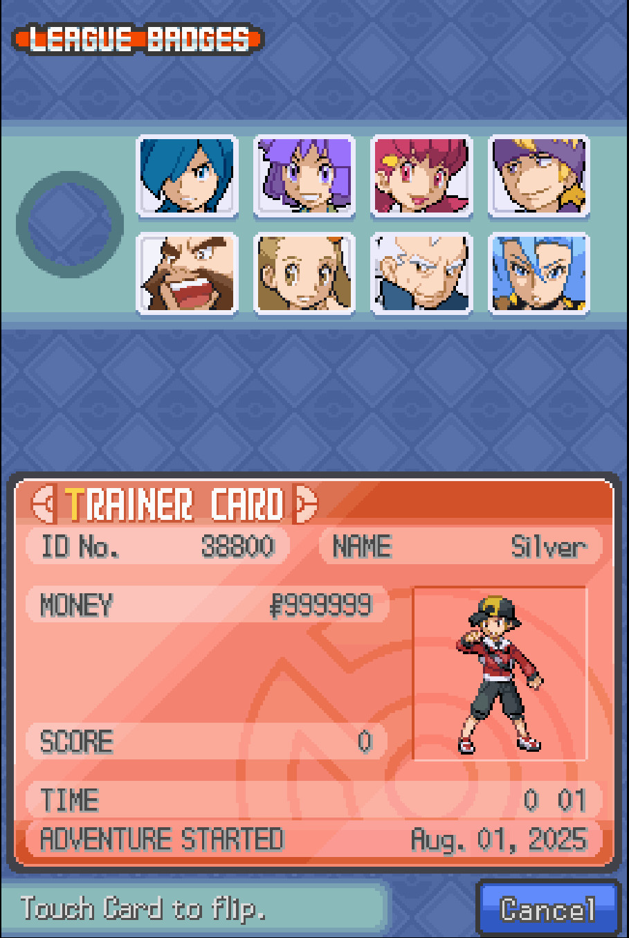 Pokemon Soul Silver – Nintendo DS -Shiny Living Dex, Max Items, Events Unlocked!