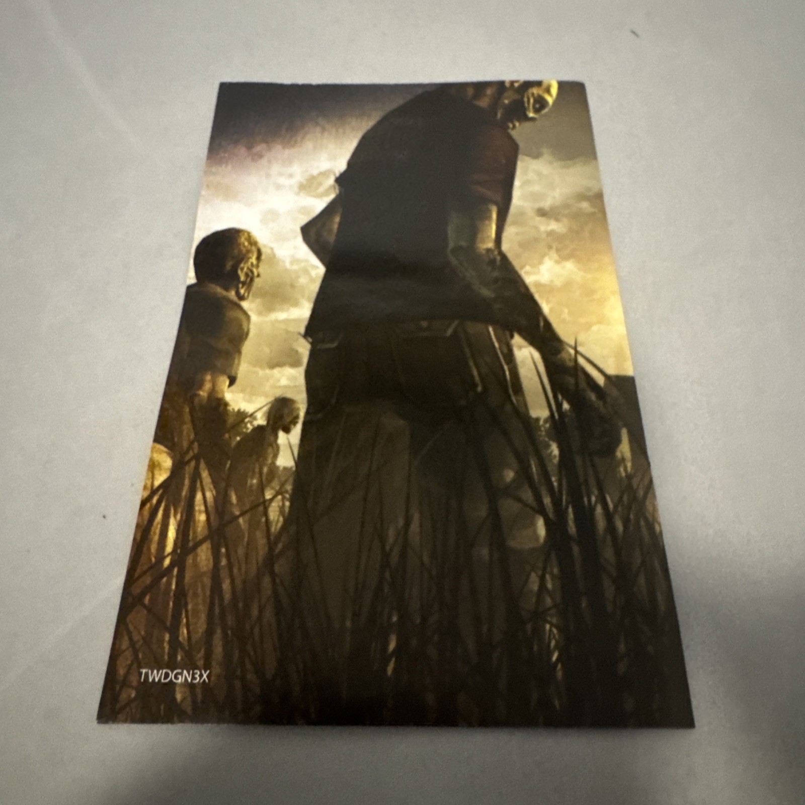 The Walking Dead (Xbox 360) CIB COMPLETE- Tested