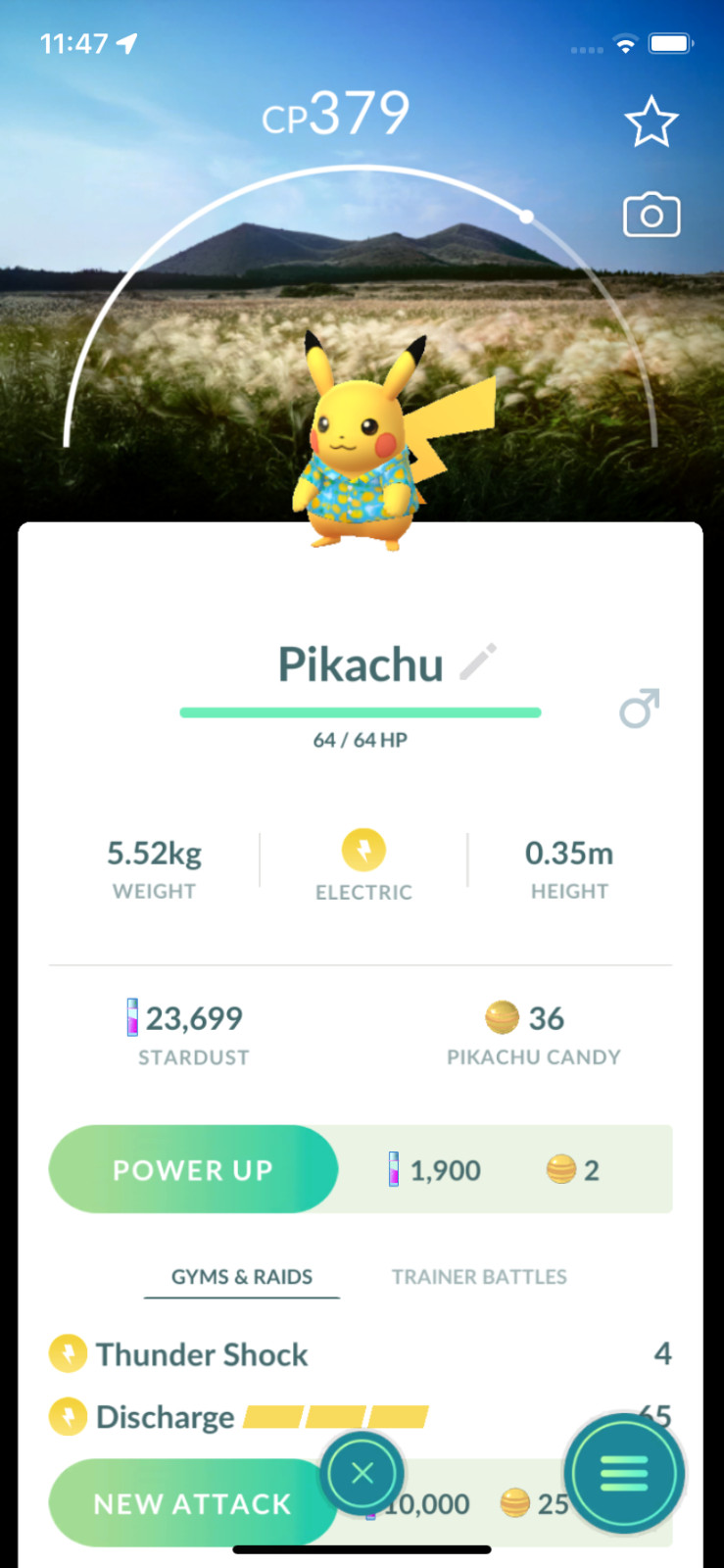 Pikachu Jeju Island with Backround ! Same Day Shippment or Next Day Guaranteed!