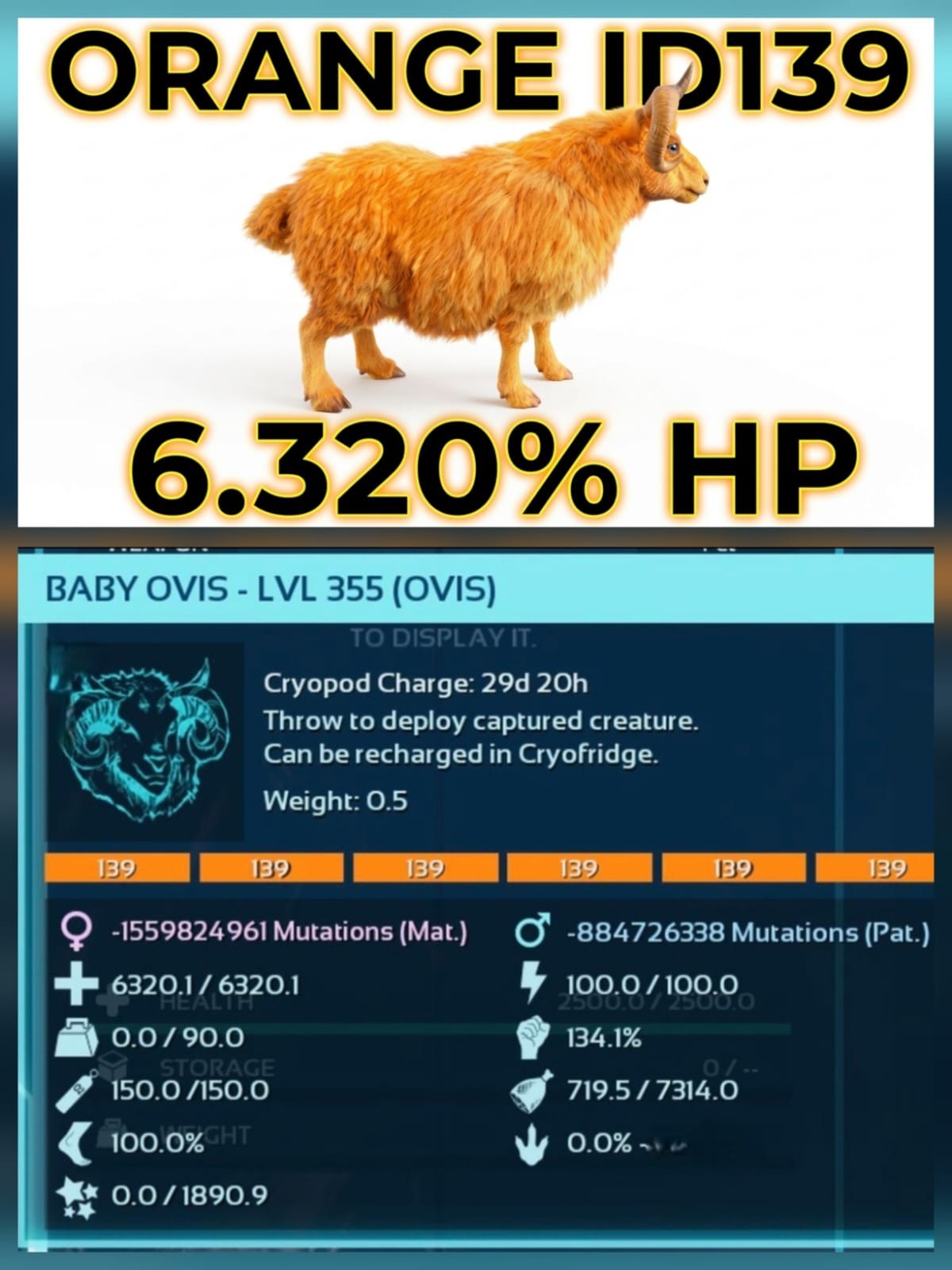 Ark Ascended Pve Official Ovis [Top HP] Baby PC/XBOX/PS5 Asa-Color-Top-HP-Dinos