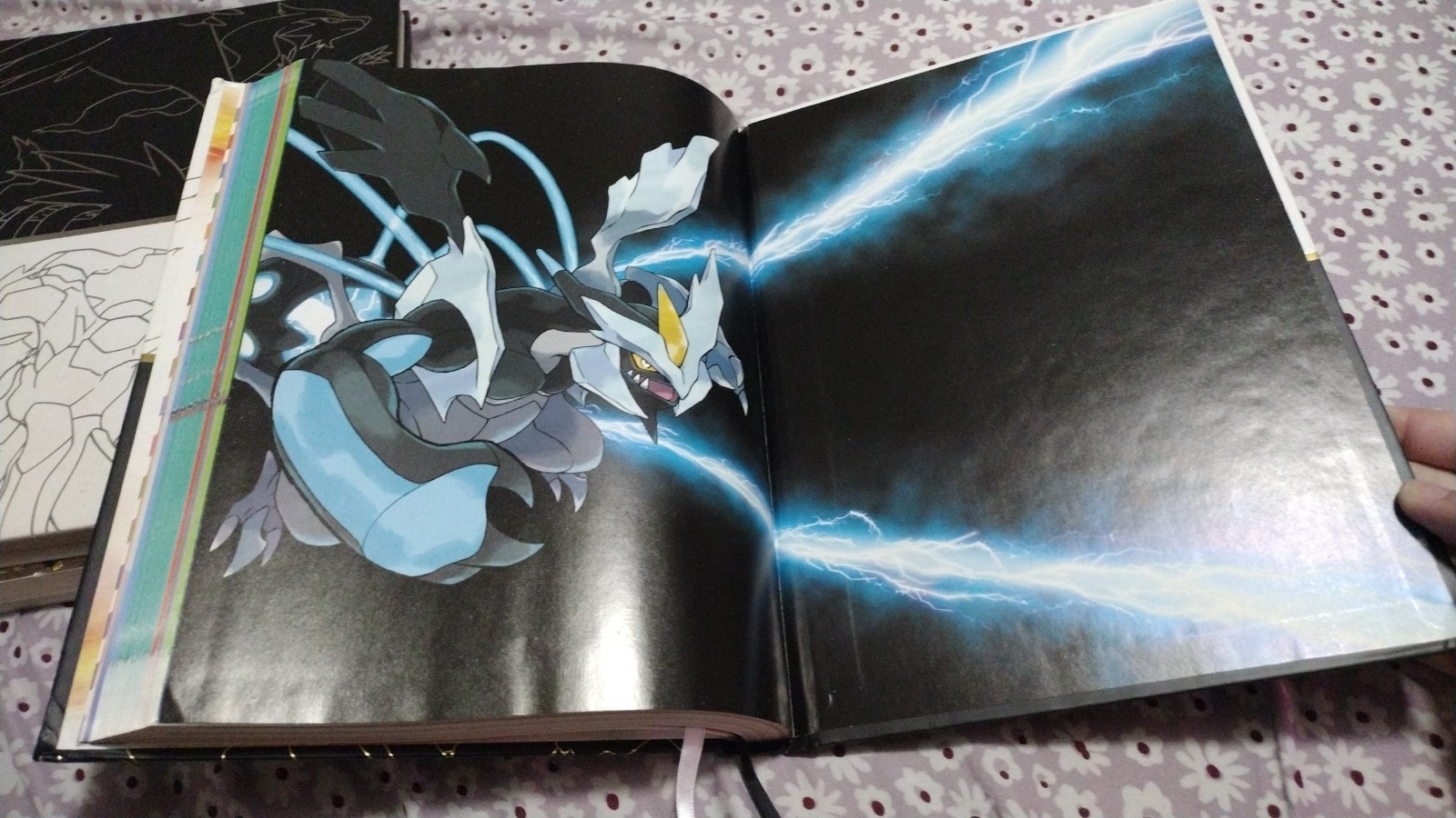 Pokemon Black & White LTD Collector’s Edition Strategy Guide & Unova Pokedex