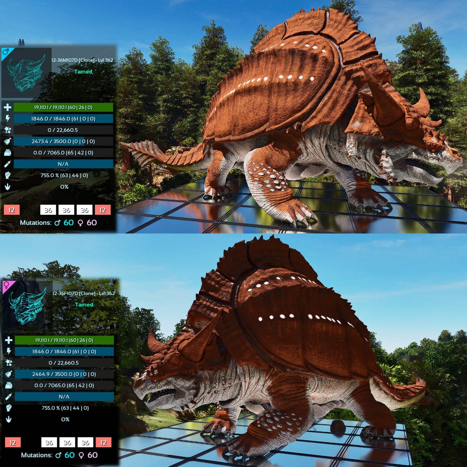 Grand Tortugar Tank Lvl 362 ASA PVE 🦖ARK Survival Ascended