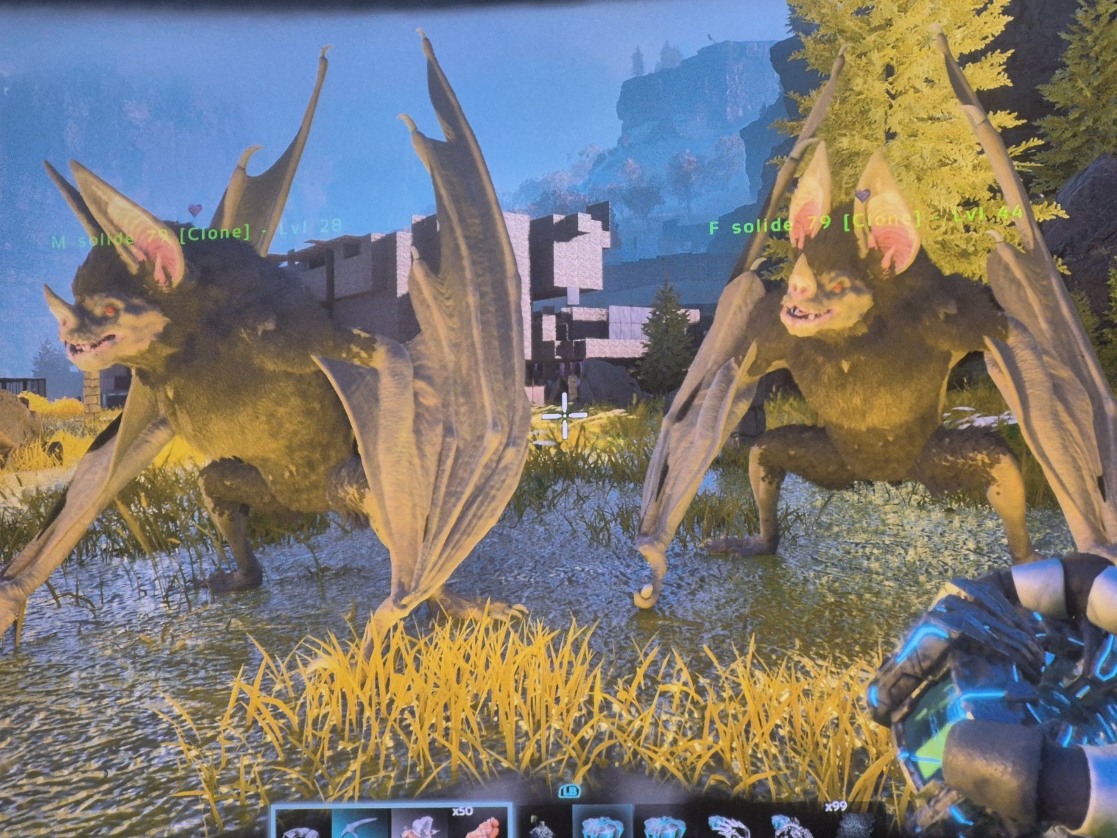 ark survival ascended pve Desmodus Solid Black 79 Pair