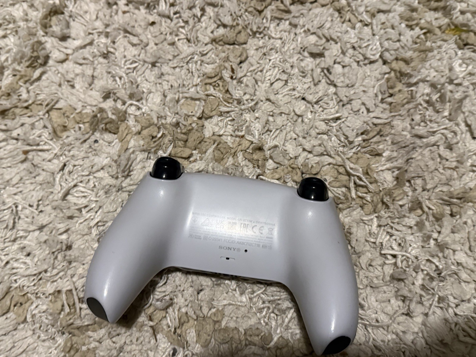 Custom Rick And Morty Sony PlayStation 5 Standard Edition With All Accessories.