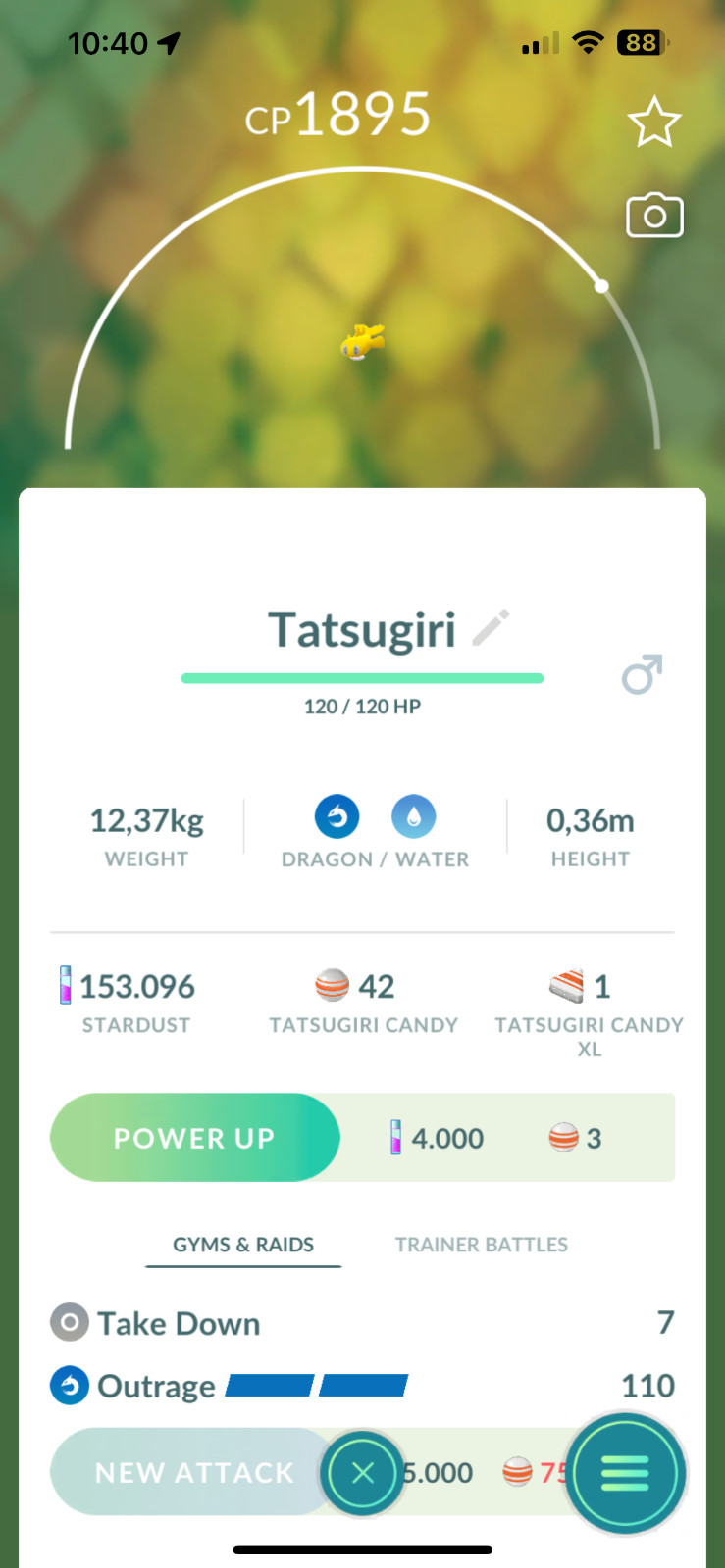 Tatsugiri (Stretchy) Tr-De 20k stardust