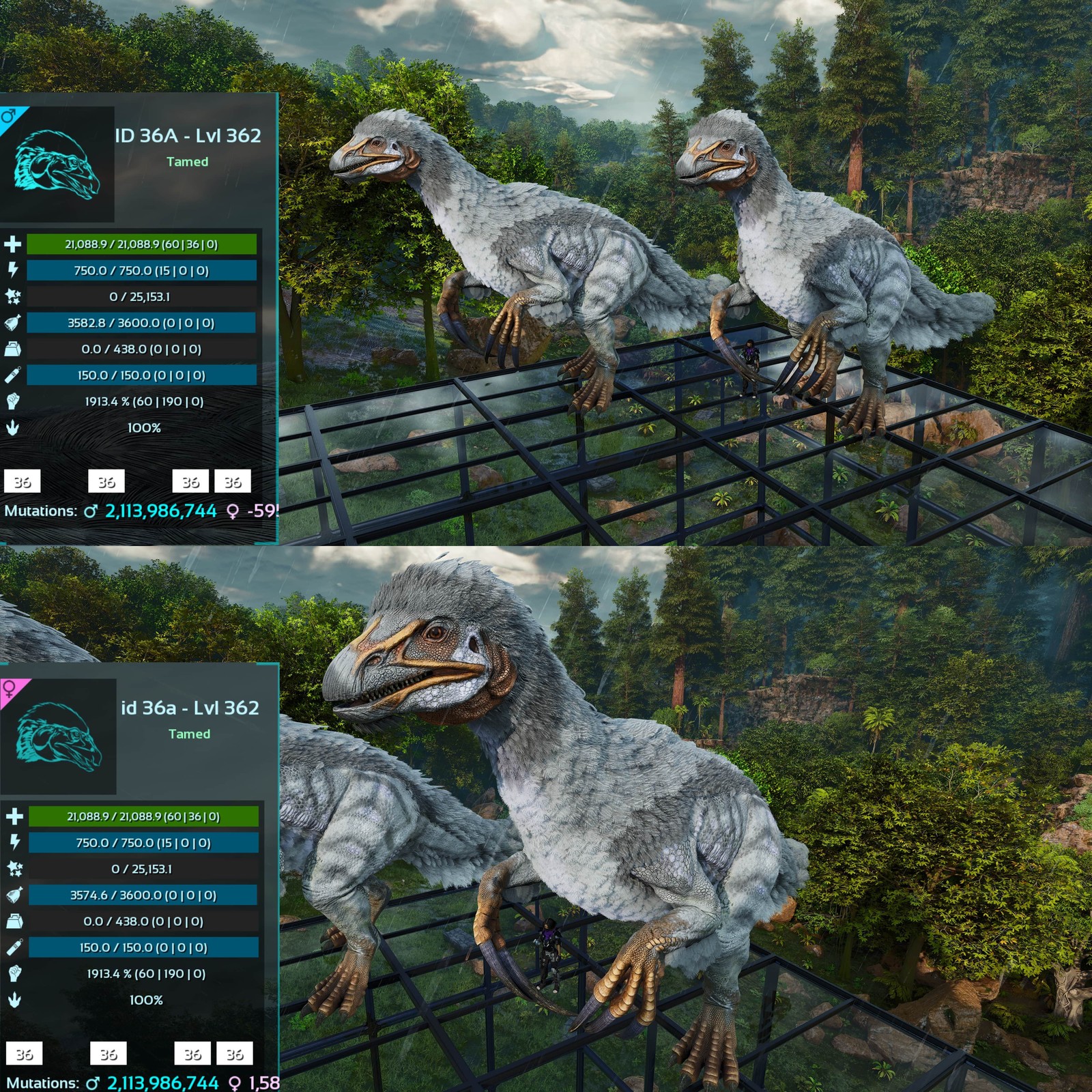 ASA PVE 🦖ARK Survival Ascended Therizinosaurus / Theri 1913Melee Imprinted