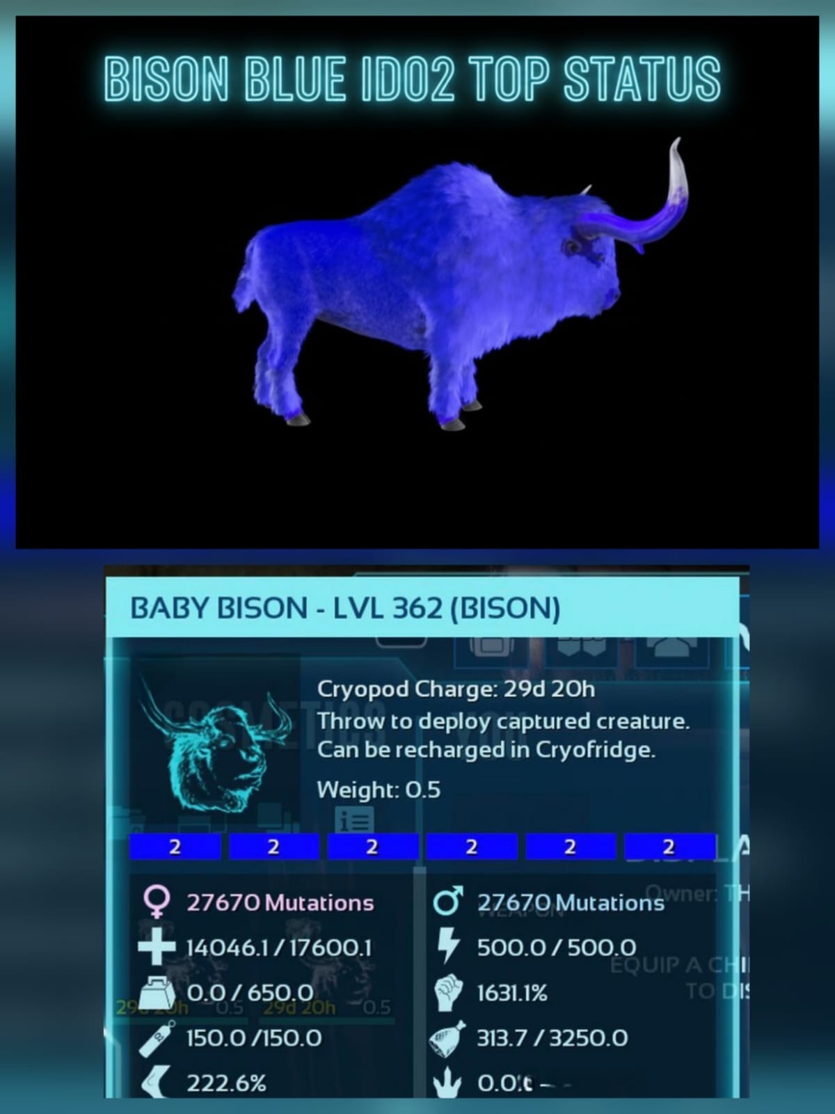 Bison Top Status 1.631% Melee Ark Ascended Pve Official-Asa-Colors PC/XOX/PS5
