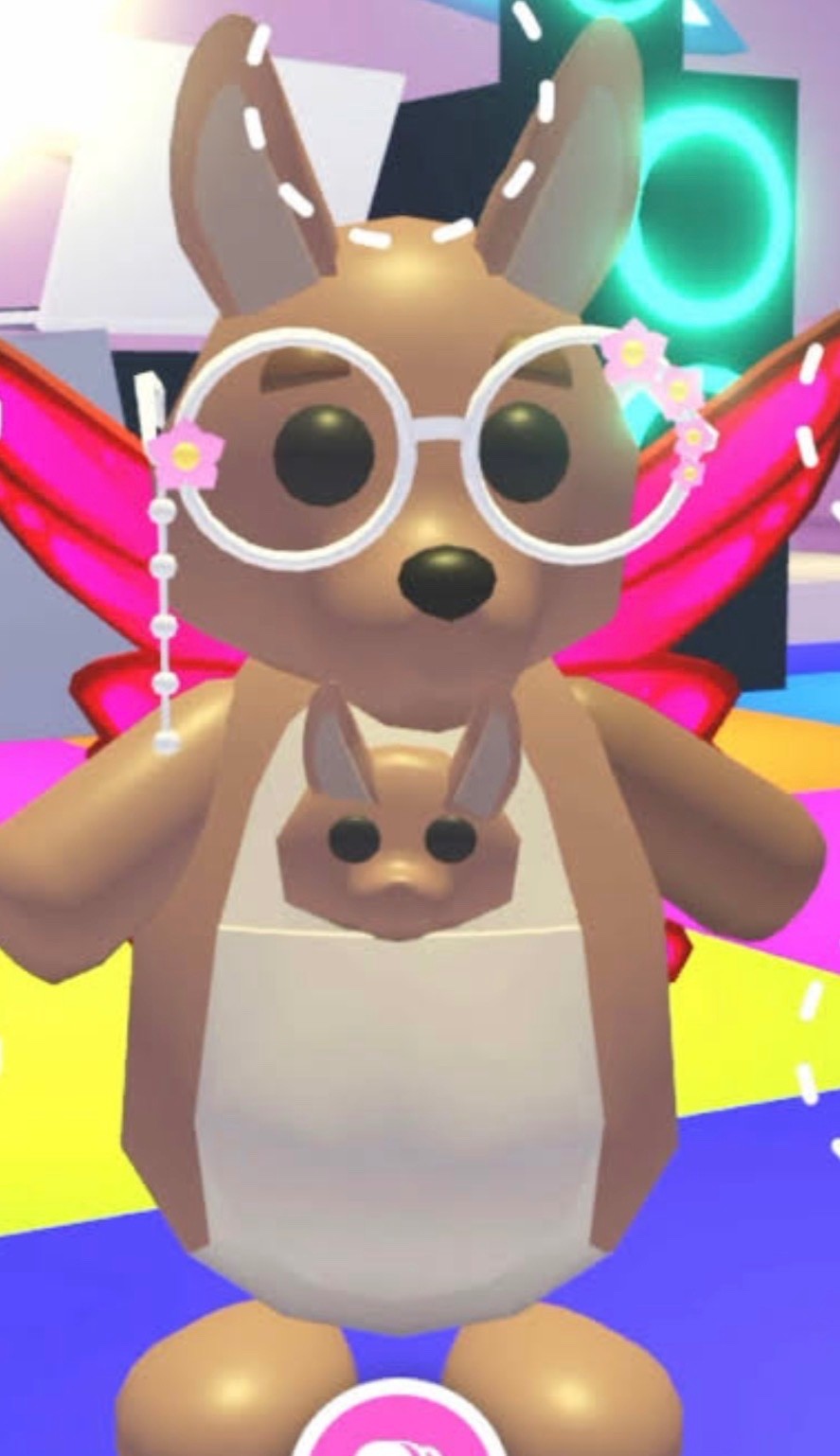 Adopt Your Pet Kangaroo From Me Today!
