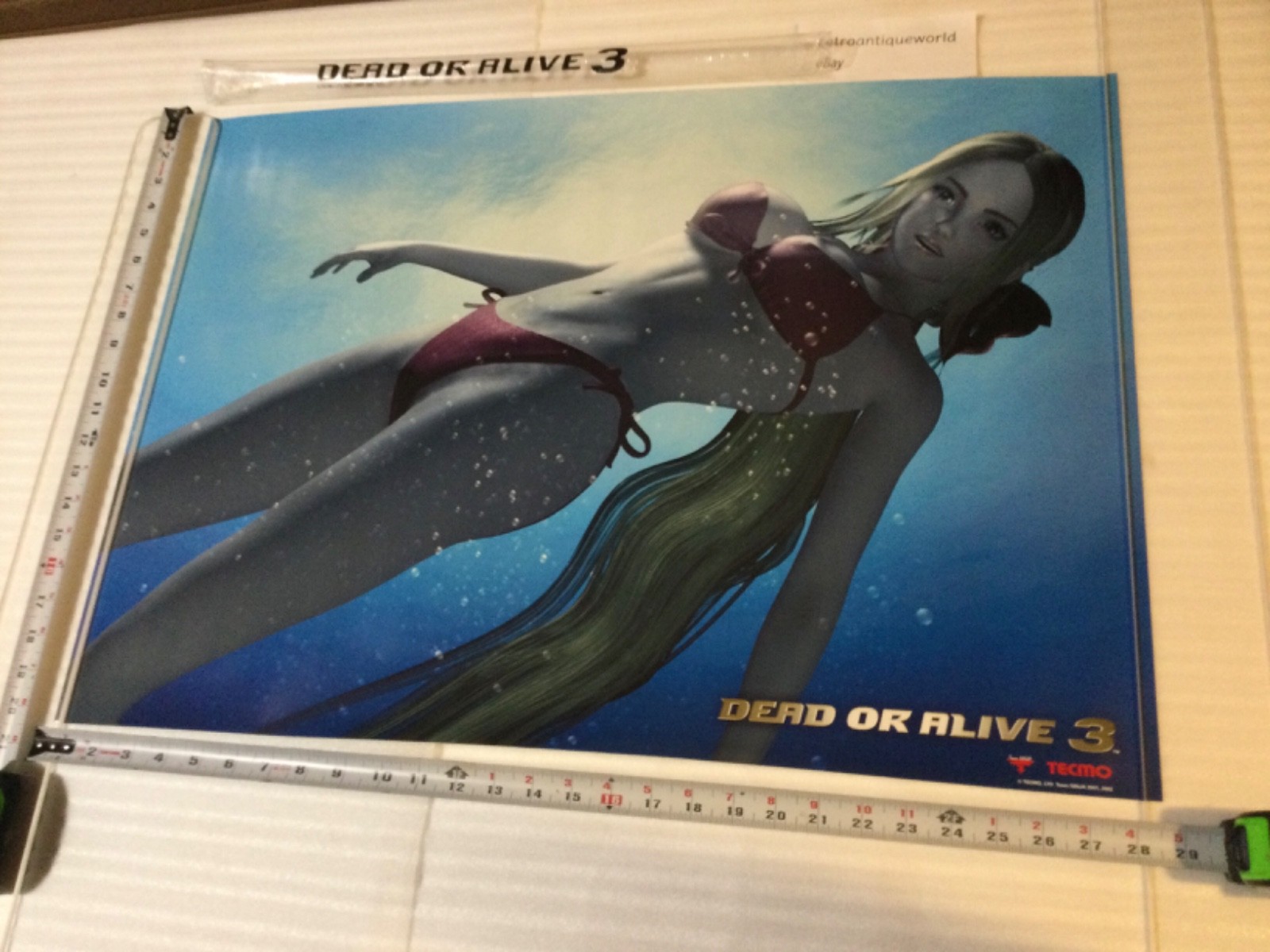 DEAD OR ALIVE 3 Limited Promo Poster Display + Bag RARE Xbox Tecmo Itagaki DOA