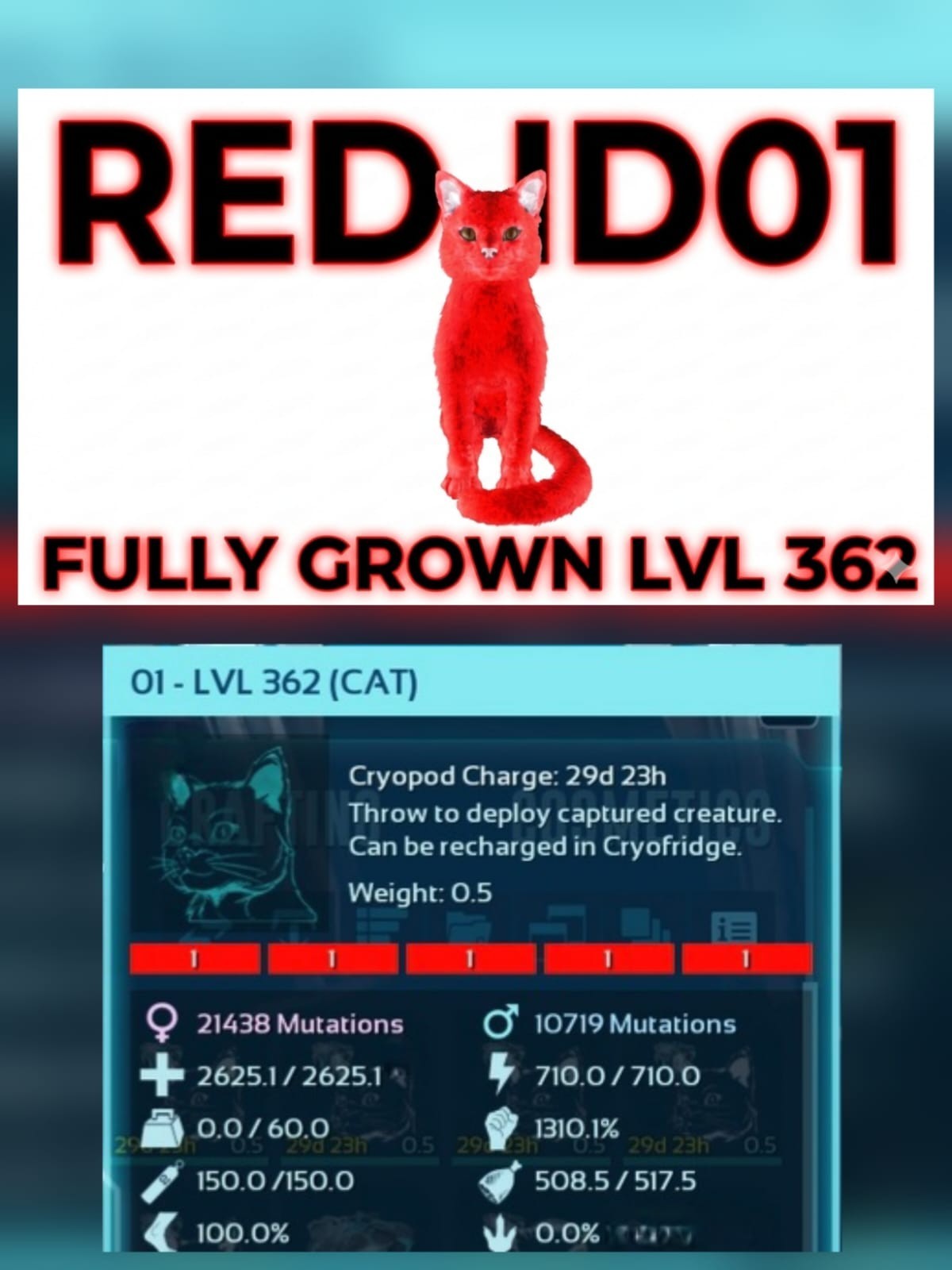 Cat Fully Grown level 362 Ark Ascended Pve Official PC/XBOX/PS5