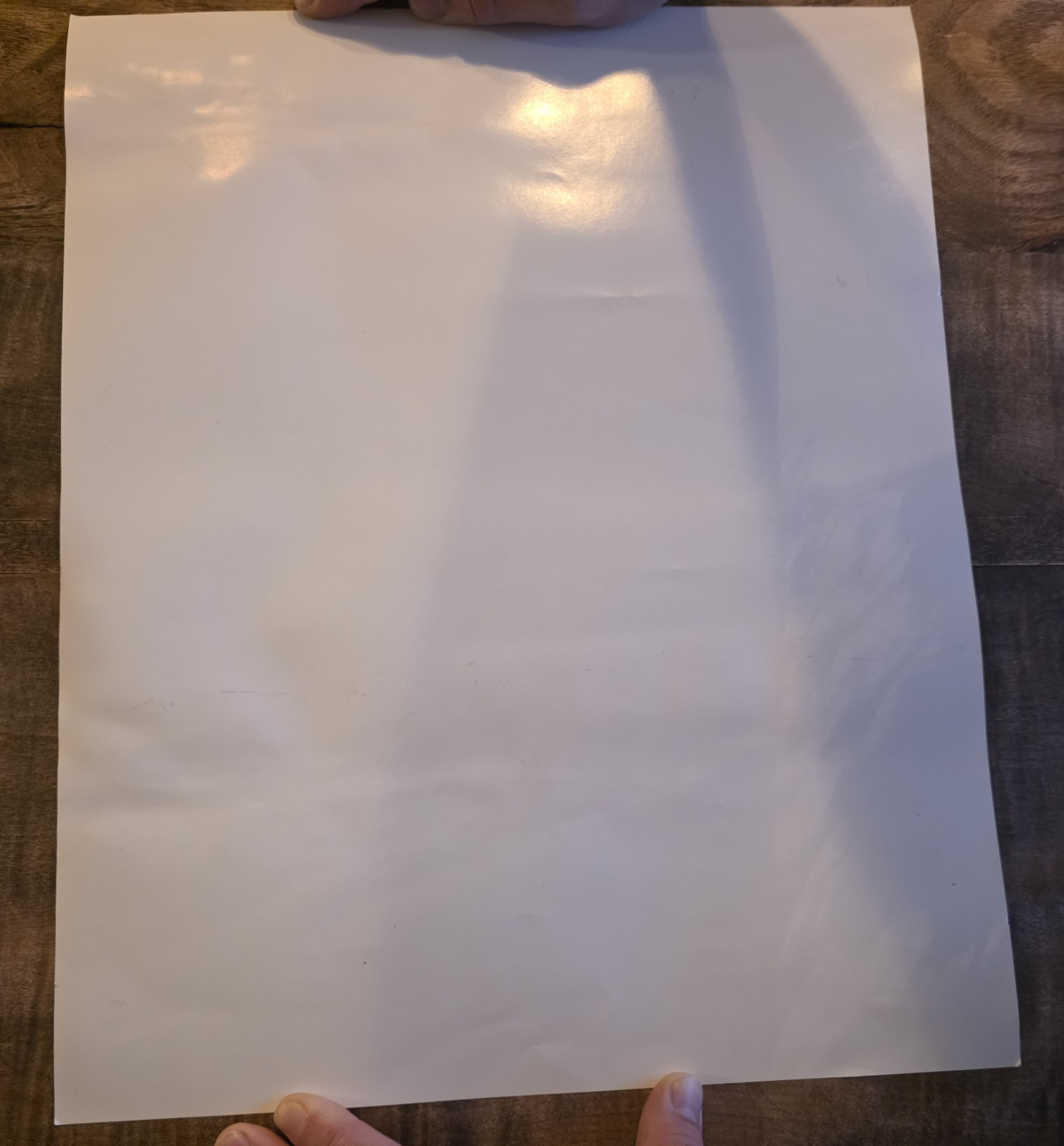 RARE Authentic Poster ( 2000) Mario Party 2 Nintendo 64 N64 Promo Store Display
