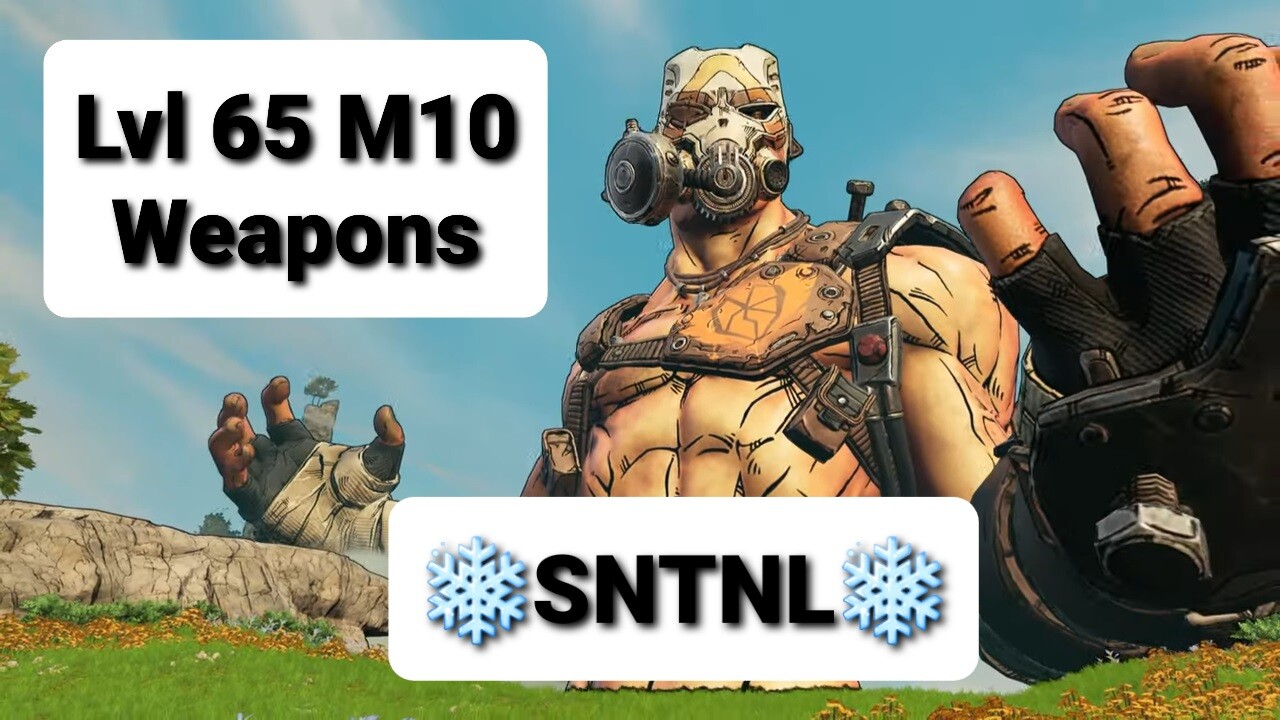 Borderlands 3 (PC/PS4/PS5/XBOX) – Lvl 72 M10 – SNTNL God Rolls – Buy 1, Get 1