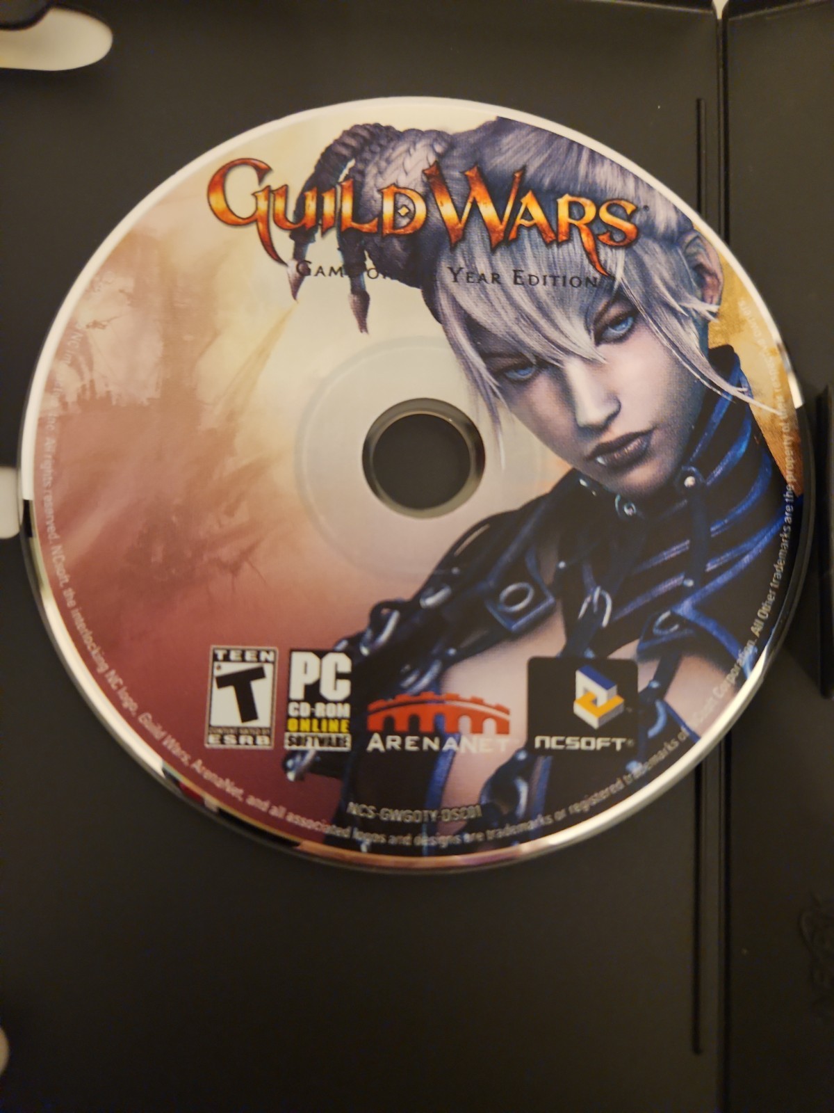 VTG – GUILD WARS – GAME OF THE YEAR EDITION – PC Game W/Manual & 2 Discs – CIB