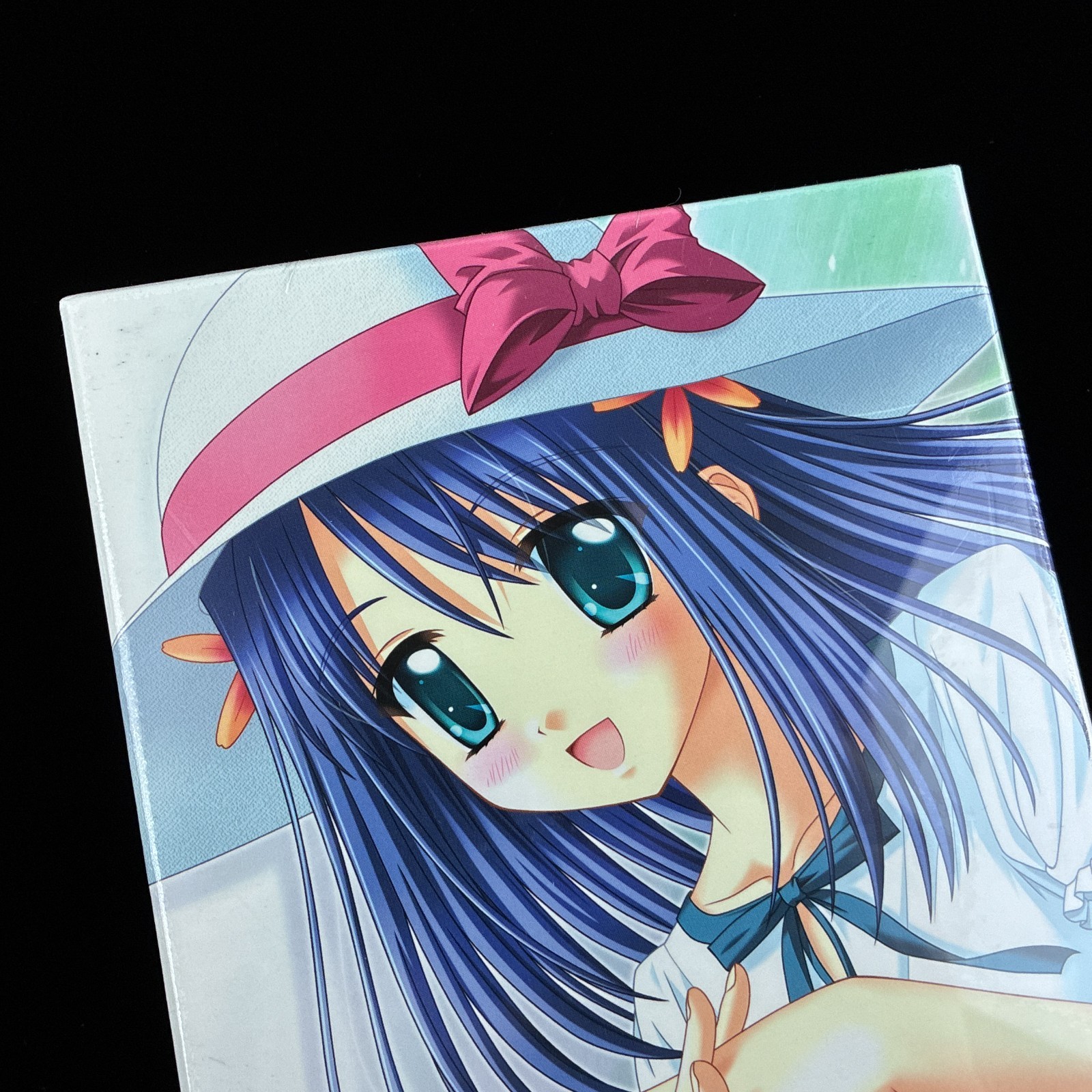 2003 Hayashigumi Falling Fall in LOVE CD-ROM PC VN Visual Novel Game Sealed