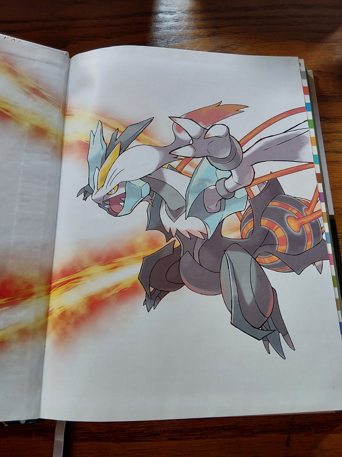 Pokemon Black Version 2 & Pokemon White Version 2 Collector’s Edition Guide…