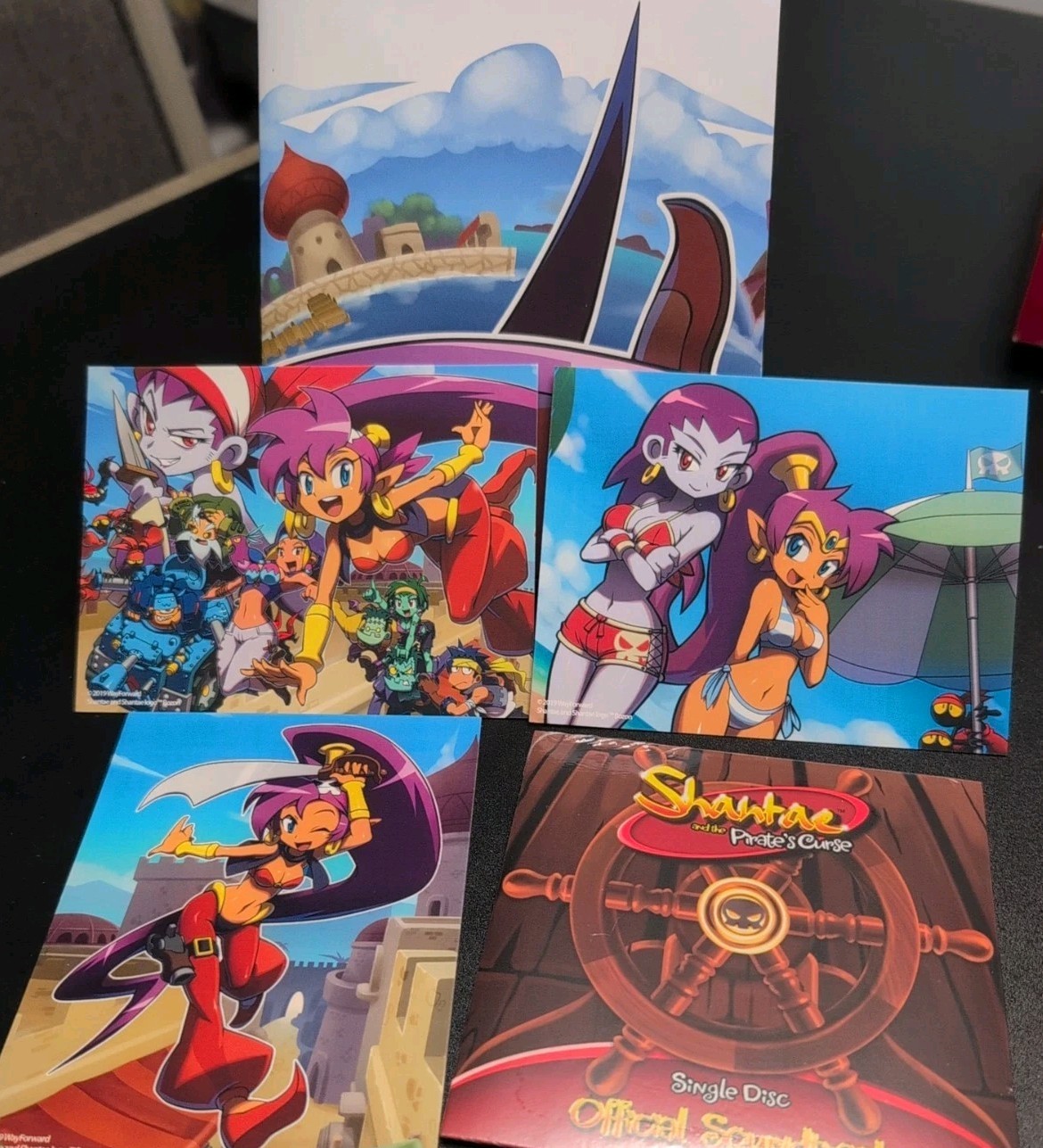 Shantae and the Pirate’s Curse Collector’s Edition Nintendo Switch Complete Box