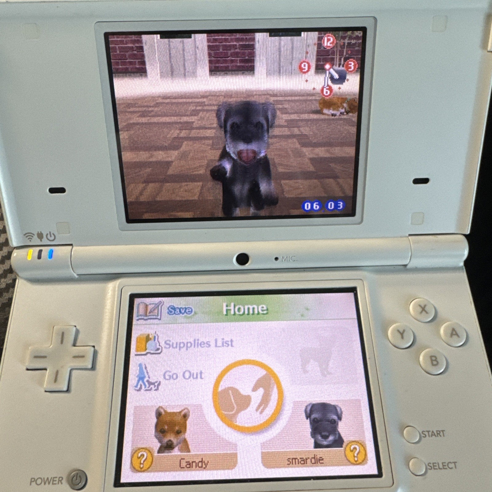 Nintendogs Lab & Friends Nintendo DS Complete CIB Tested Clean Fast Shipping