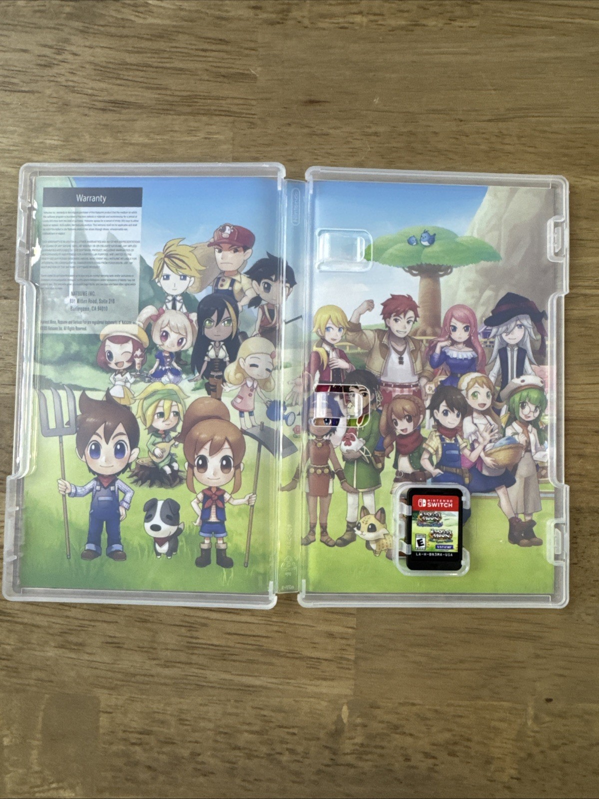 Harvest Moon: The Lost Valley & Skytree Village – Nintendo Switch