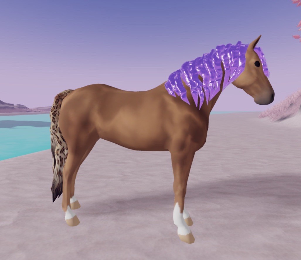 Wild Horse Islands 🌸 IUH MISMATCH Morgan 🌸 MM