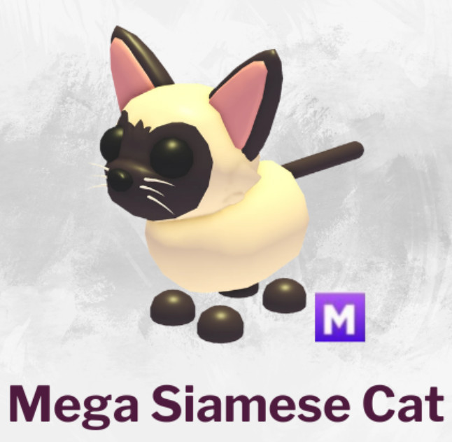 Mega Siamese Cat – Cheap & Trusted Store!!