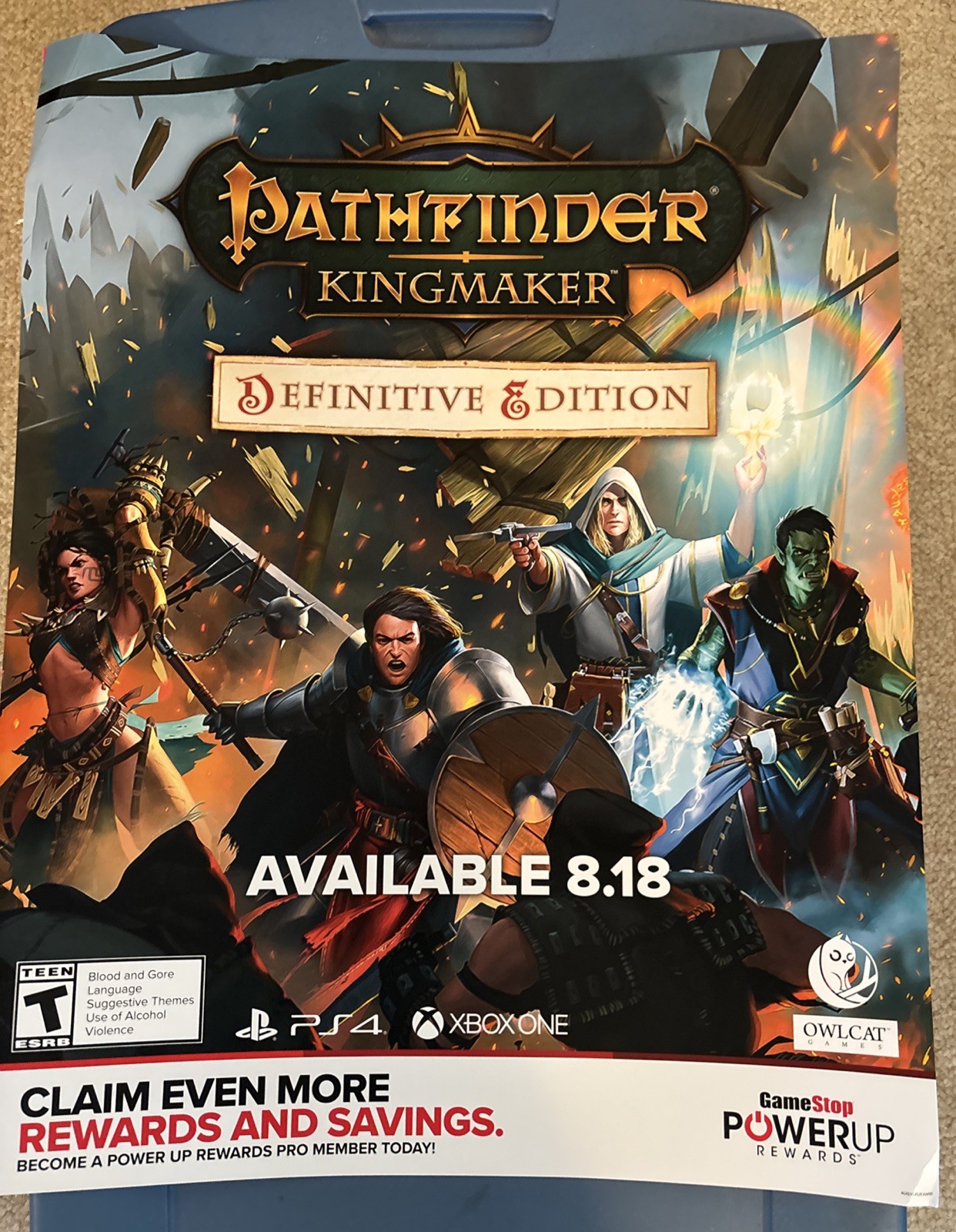 promotional Poster ￼Pathfinder: Kingmaker Xbox One & PS4 28in’s/22in’s Huge!