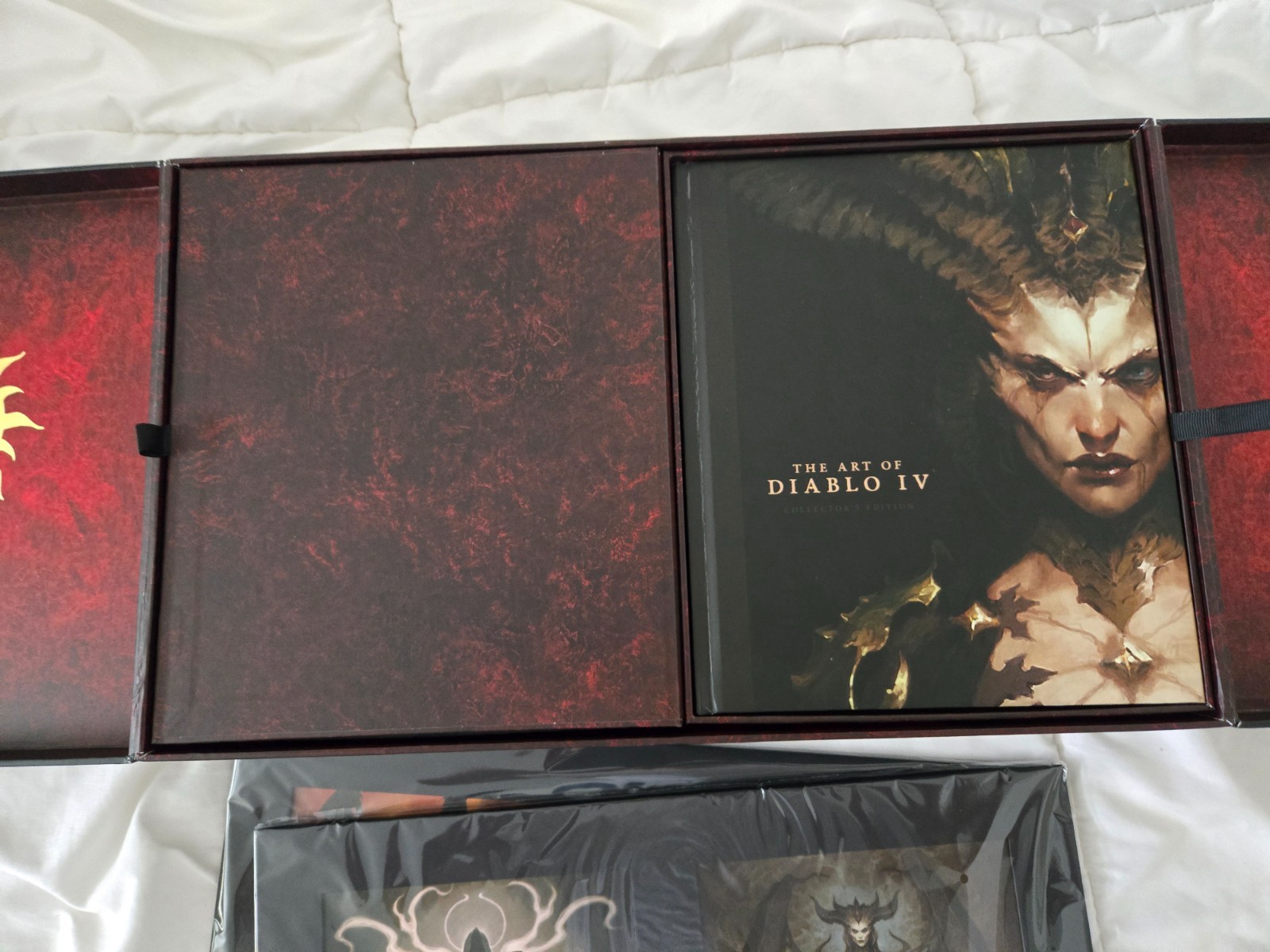Diablo IV Limited Collectors Edition Box Game Not Included