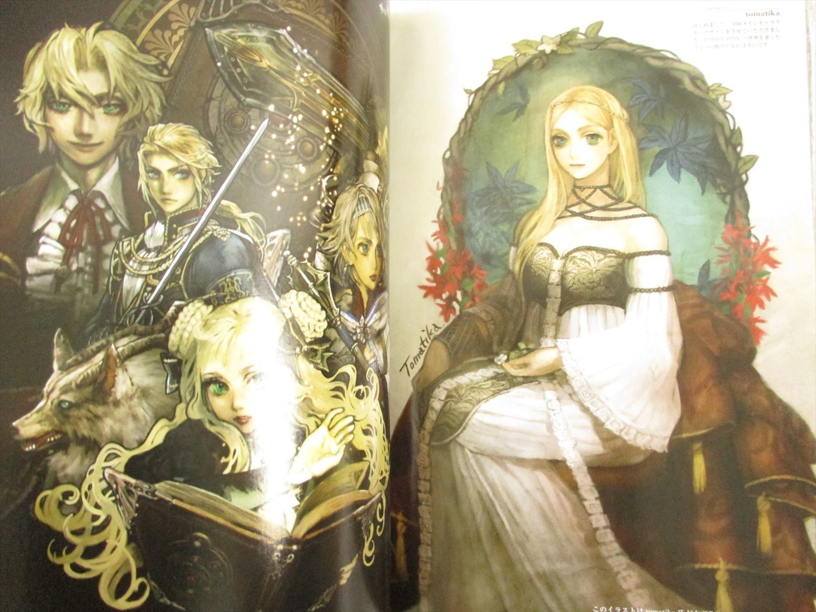 POISON PINK Official Visual Book Art Works PS2 Fan 2008 Japan Ltd