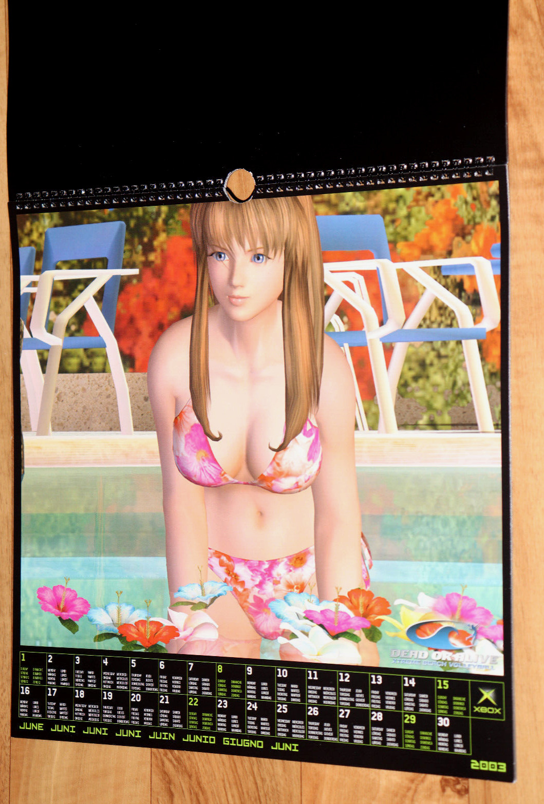 2003 Dead or Alive Xtreme Beach Volleyball Very Rare Calendar Collectible