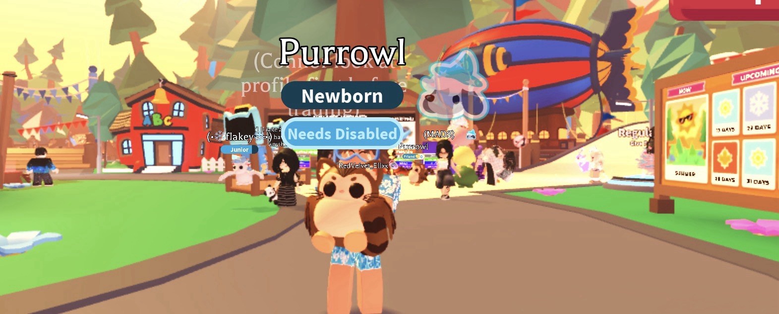 Roblox Adopt Me! Purrowl Newborn Pet virtual item and fast shipping 🚚💨💨💨💨￼