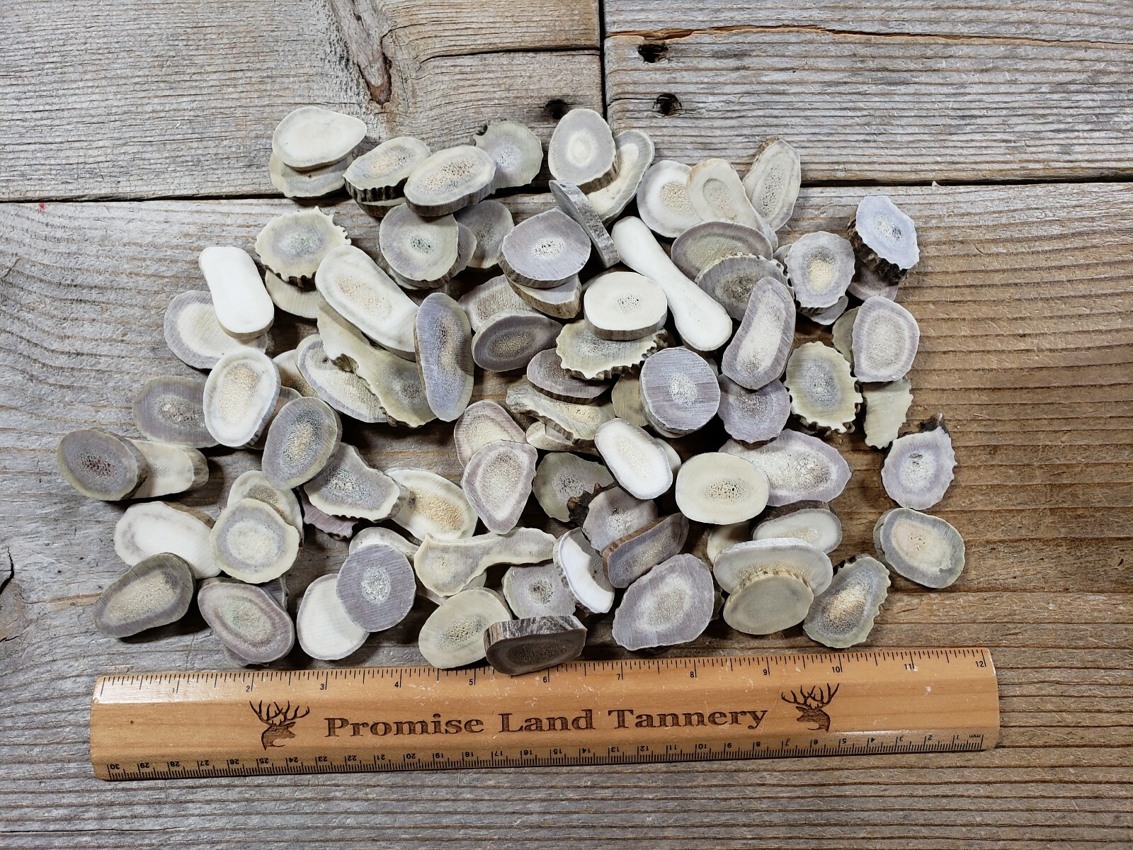 1lb Deer Antler Slices for Buttons, Charms or Runes XL Extra Large Size 1 pound