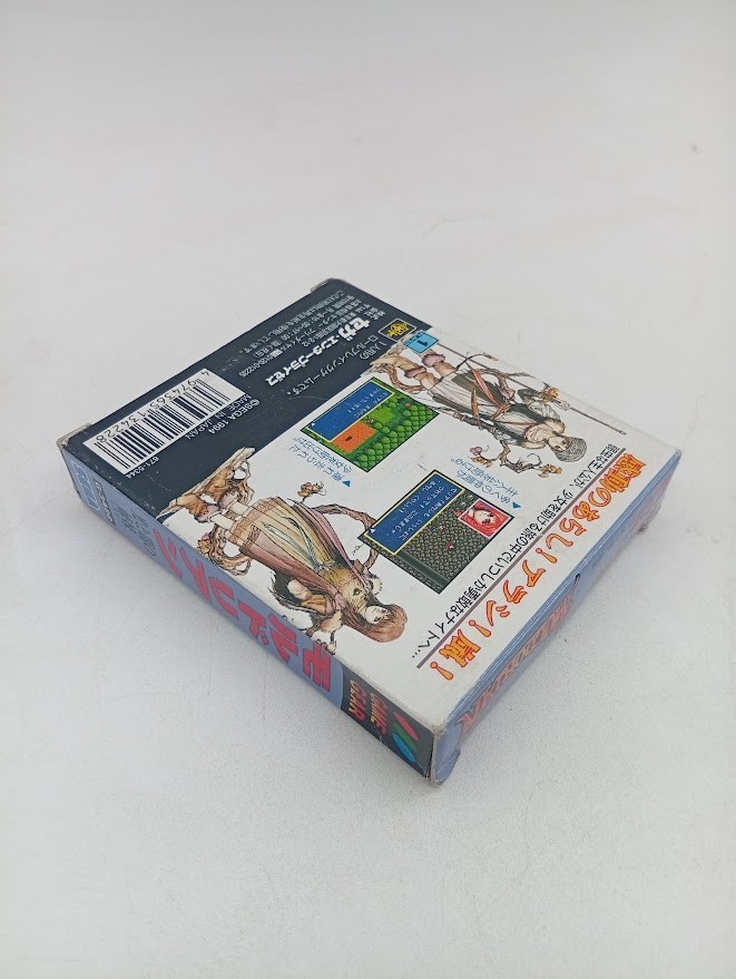 Moldorian Sega Game Gear CIB Complete In Box Tested Working Box Wear