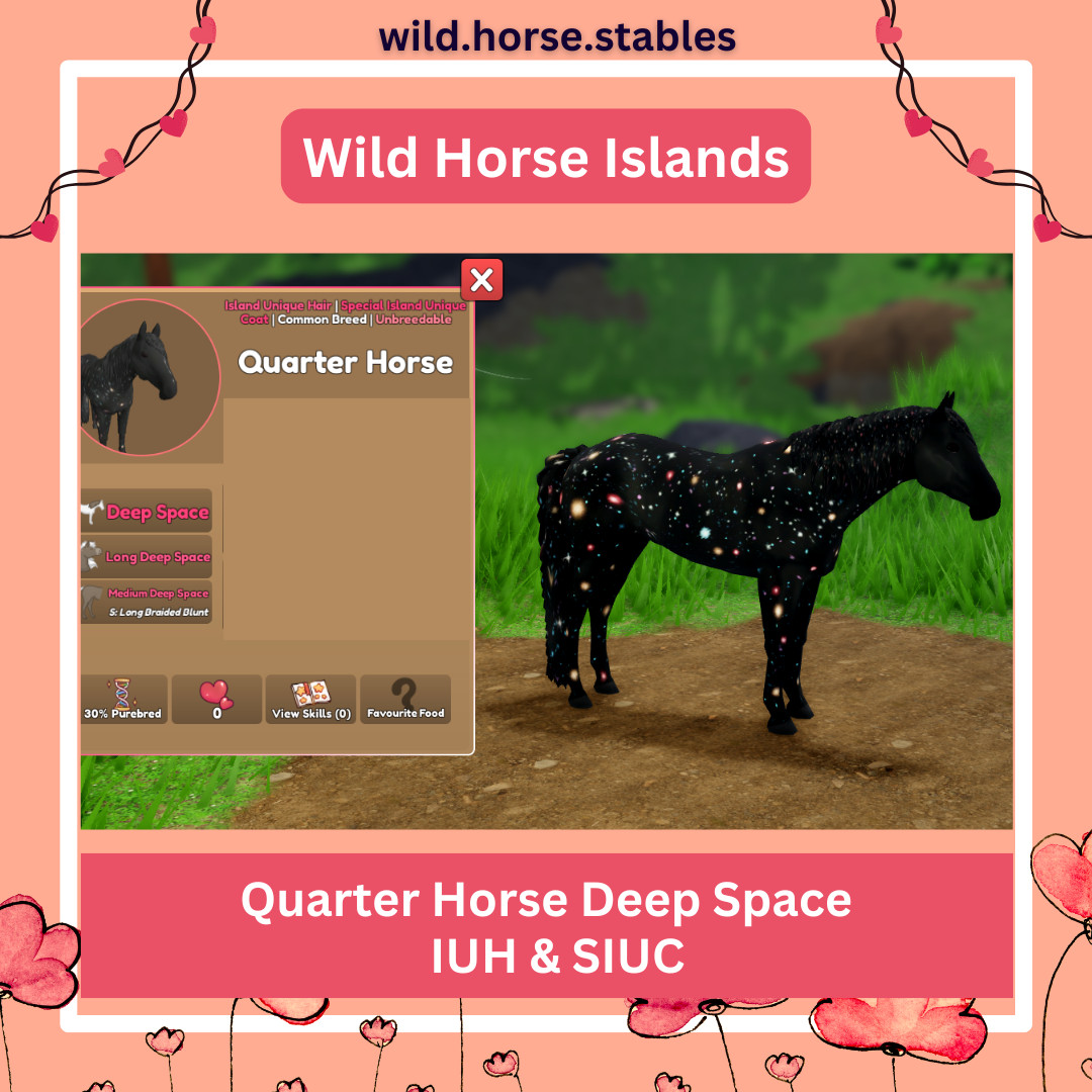 Wild Horse Islands – IUH Special Island Unique Coats (All Breeds)