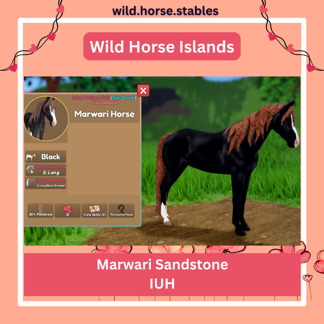 Wild Horse Islands – Marwari Island Unique Hairs/IUH