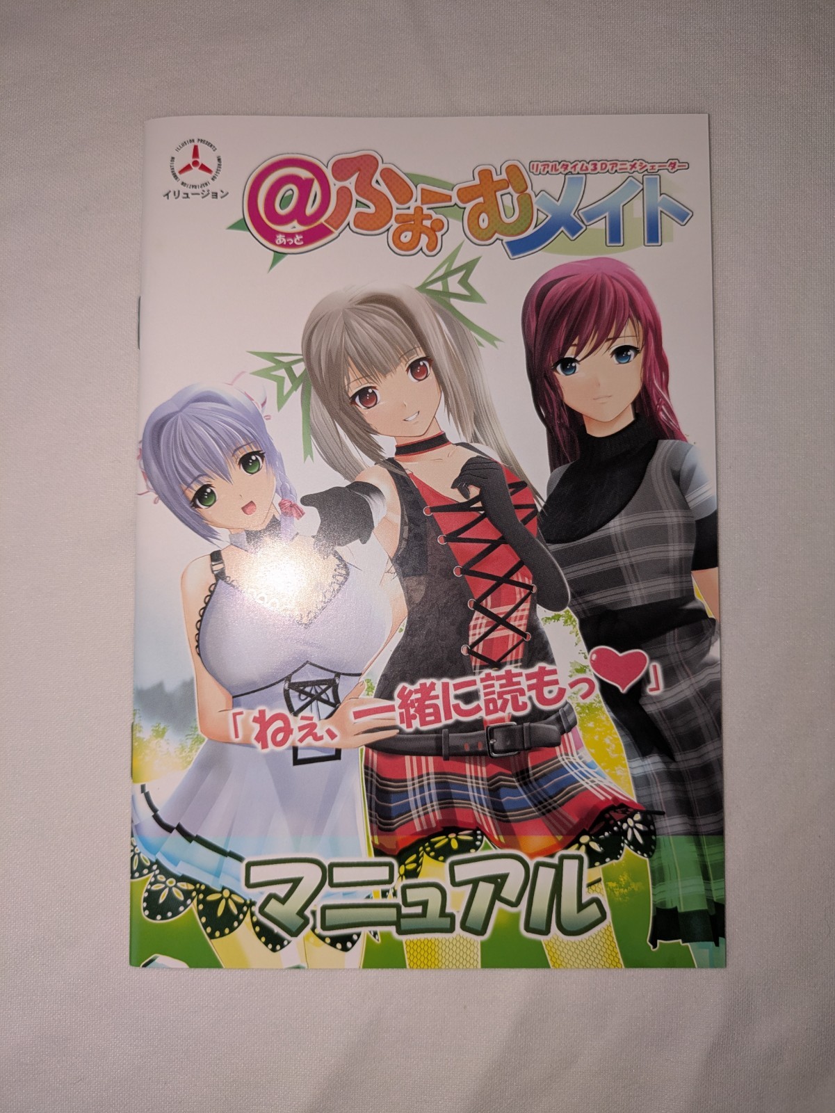 ILLUSION @Home Mate PC DVD-ROM Japanese Adult Game Complete Japan