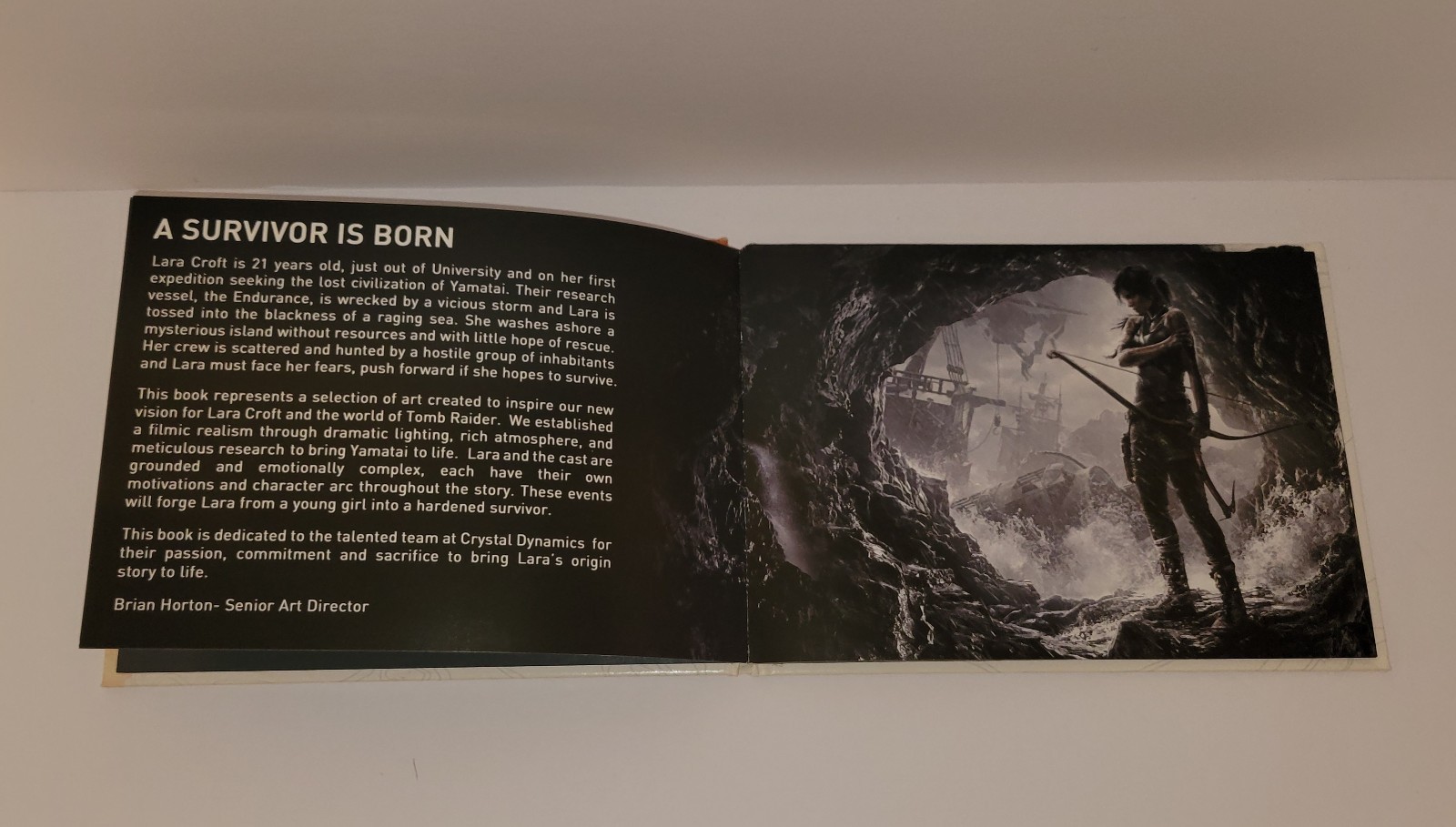 Tomb Raider (Xbox 360, 2013) Special Edition Complete w/ Slipcase & Artbook