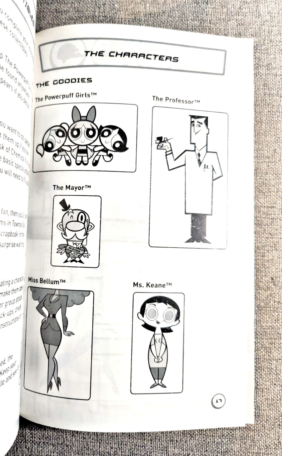 The Powerpuff Girls Relish Rampage Instruction Manual Only – PlayStation 2
