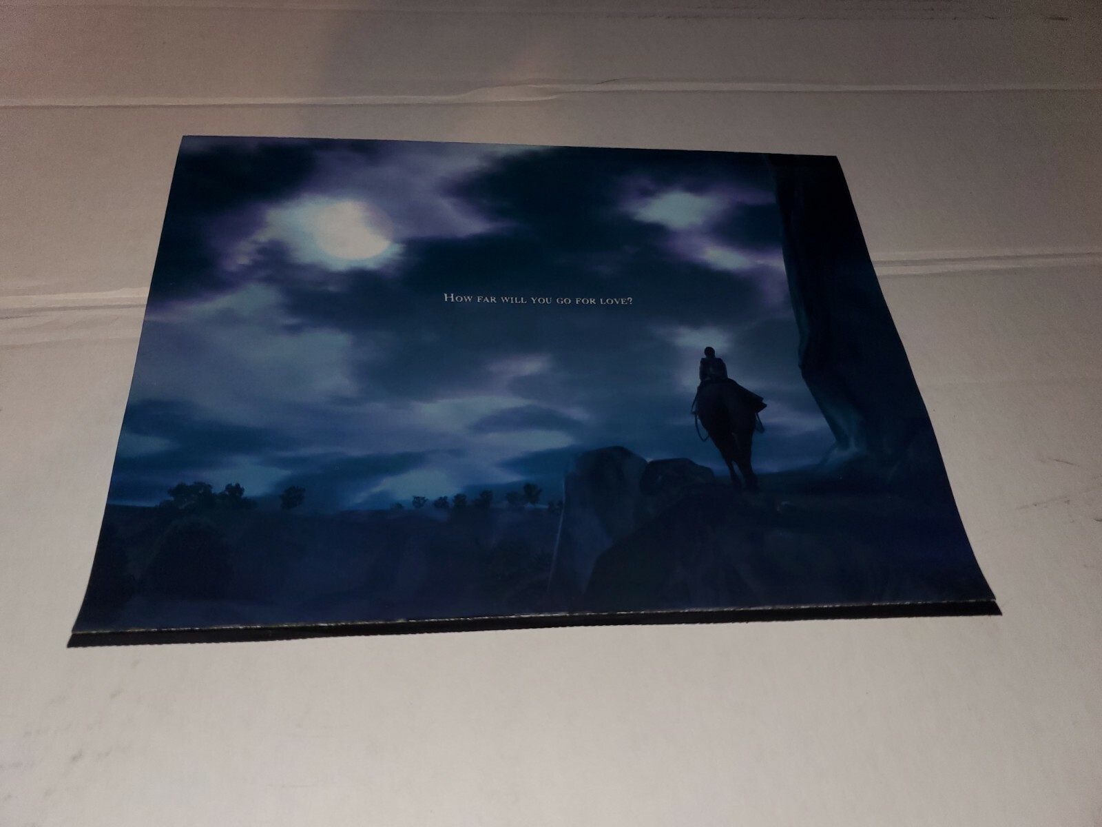 Shadow of the Colossus Playstation 2 PS2 PS1 Foldable Promo Poster Insert RARE🔥
