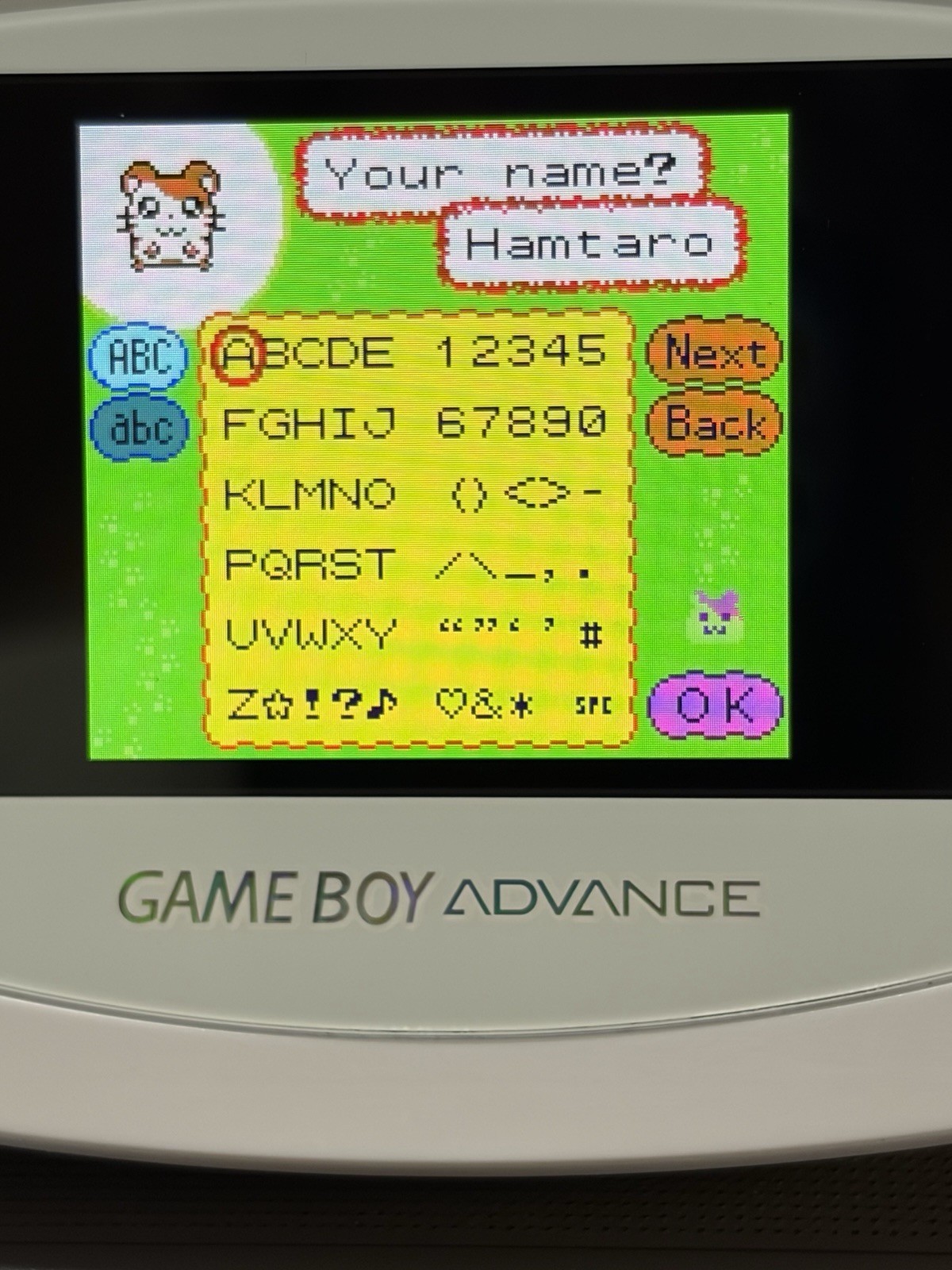 Hamtaro: Ham-Hams Unite (Nintendo Game Boy Color-GBC-TESTED-NEW BATTERY-NICE!!