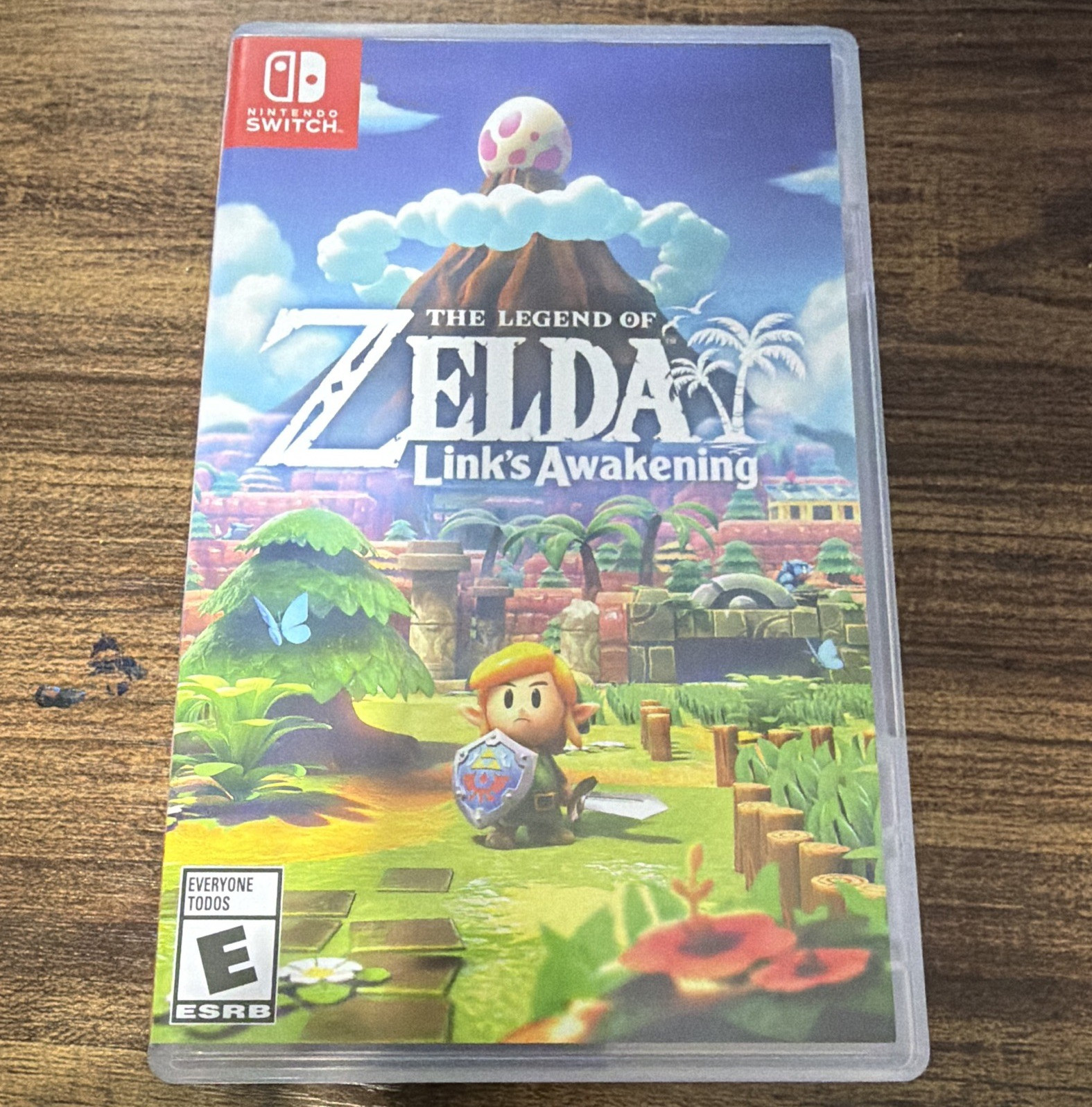 Nintendo Zelda Link’s Awakening Nintendo Switch w/ Case E NTSC-U/C amiibo 2019