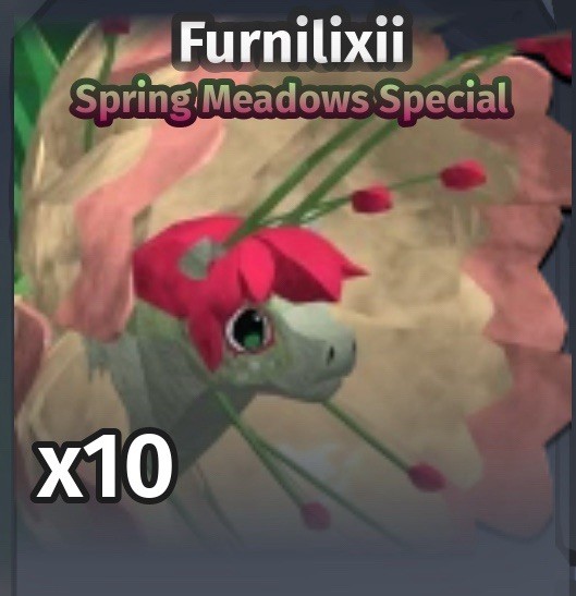 COS Furnilixii spec